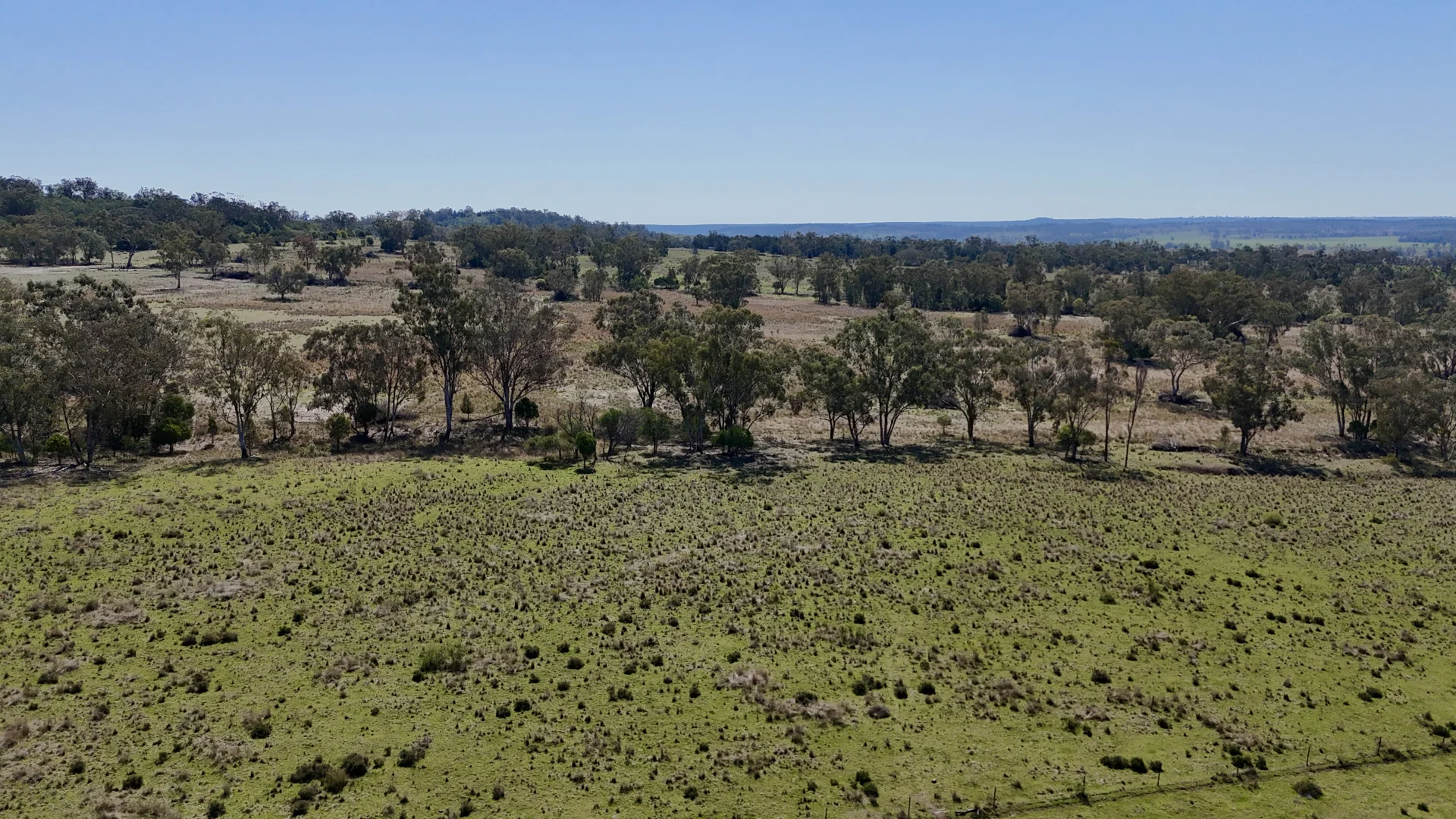 Additional image 14 of "Calamity"/1385 Mosquito Creek Road, Warialda NSW 2402