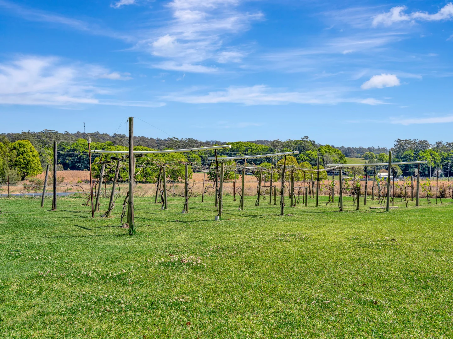 Additional image 25 of 923 Orara Way, Nana Glen NSW 2450