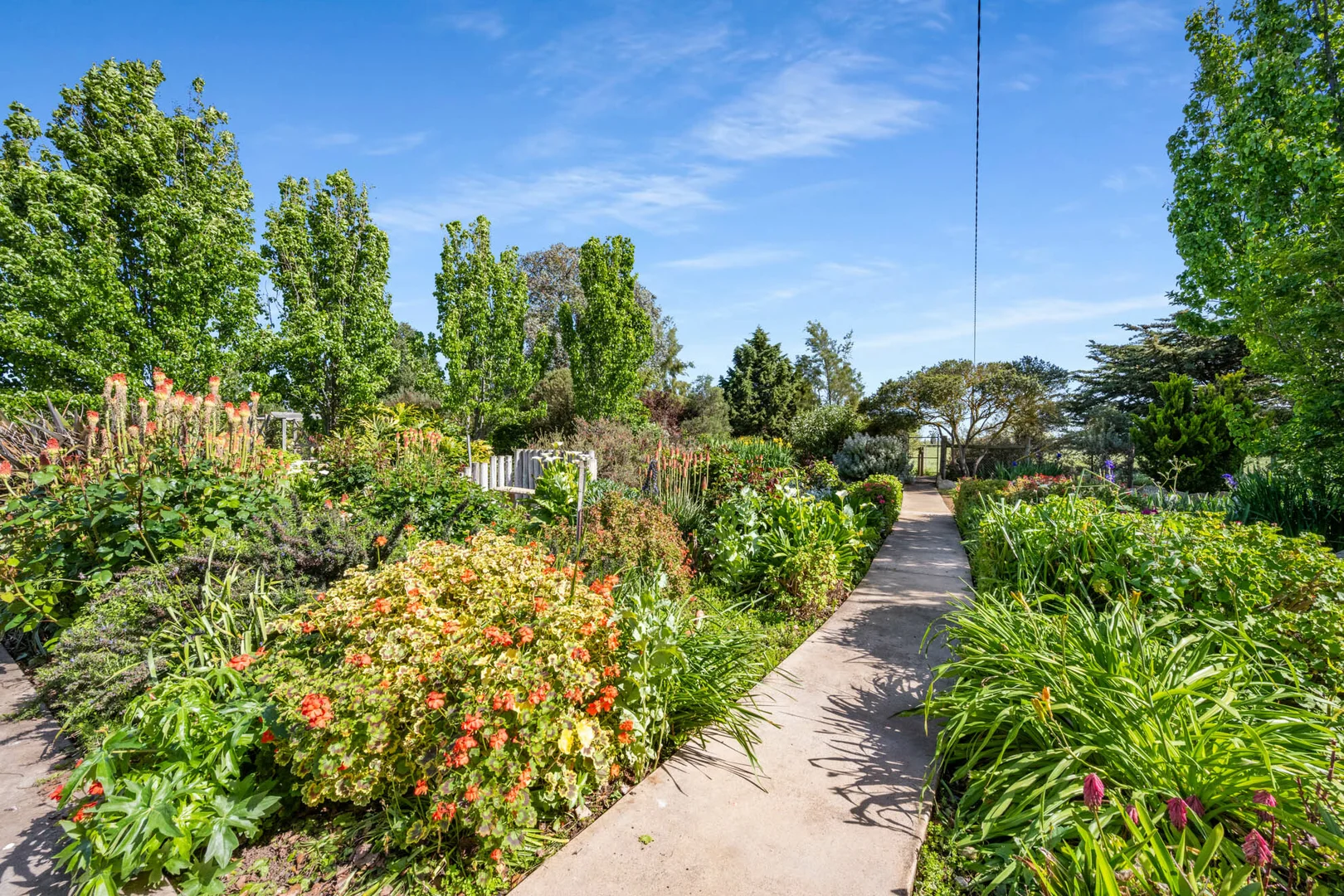 Additional image 46 of 14687 Riddoch Hwy, Coonawarra SA 5263