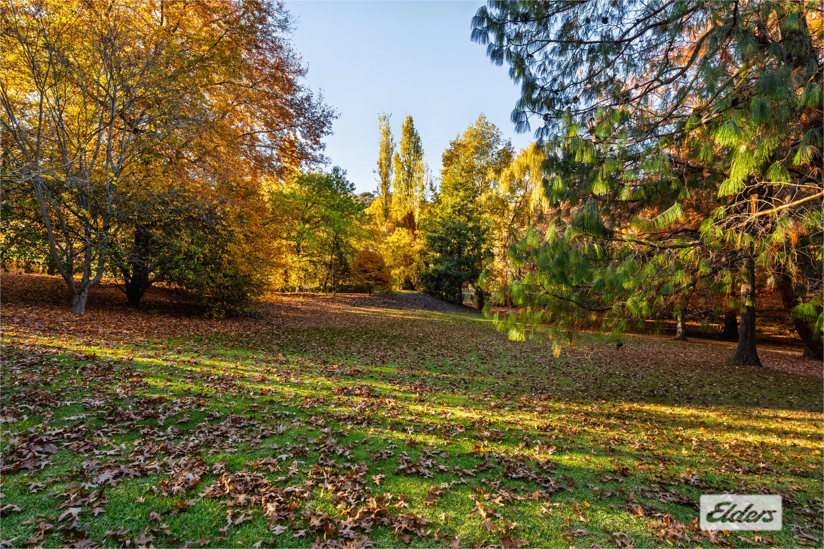 Additional image 34 of 134 Yackandandah Road, Yackandandah VIC 3749