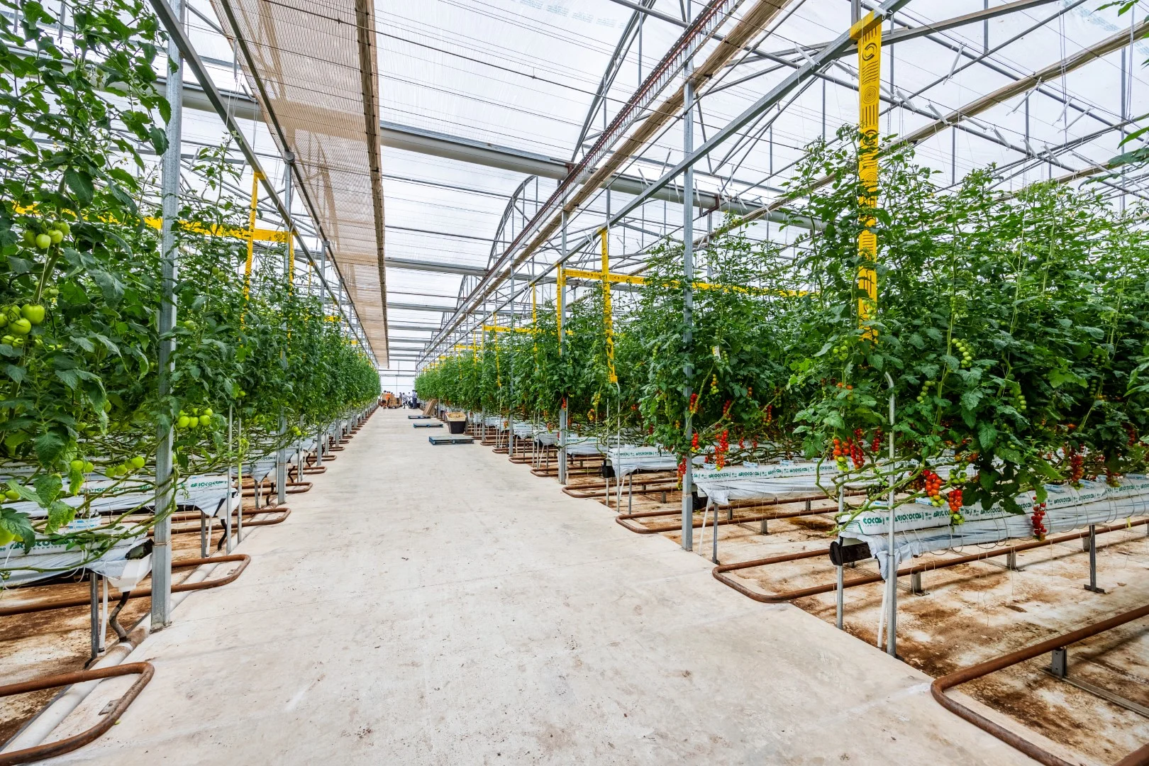 Additional image 2 of 136 Penfield Road, Virginia SA 5120