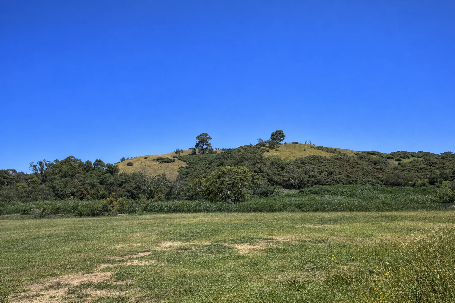 Additional image 4 of 590 Ogradys Road, Wandong VIC 3758