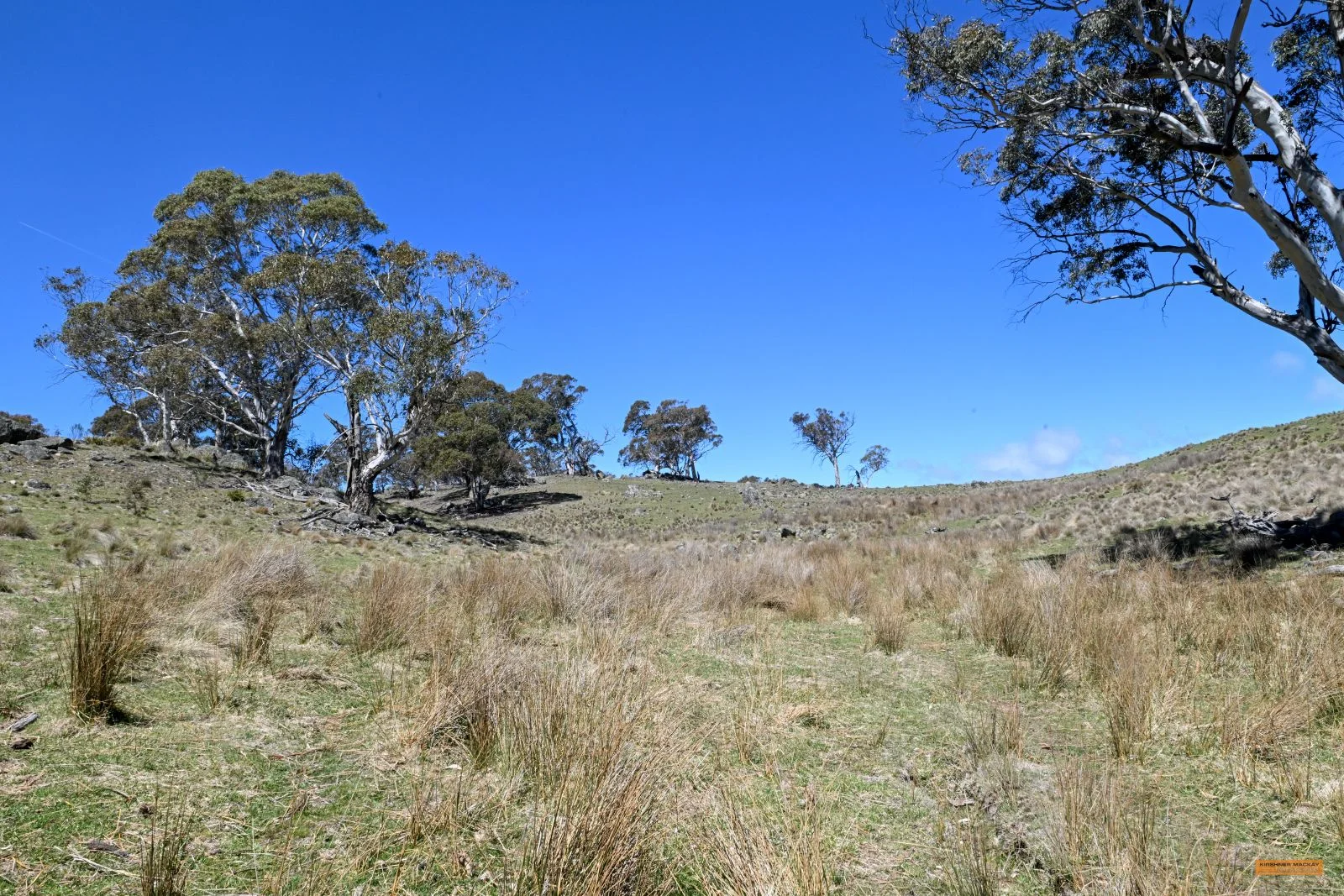 Additional image 15 of "King's Ridge" 698 Avonside Road, Avonside NSW 2628