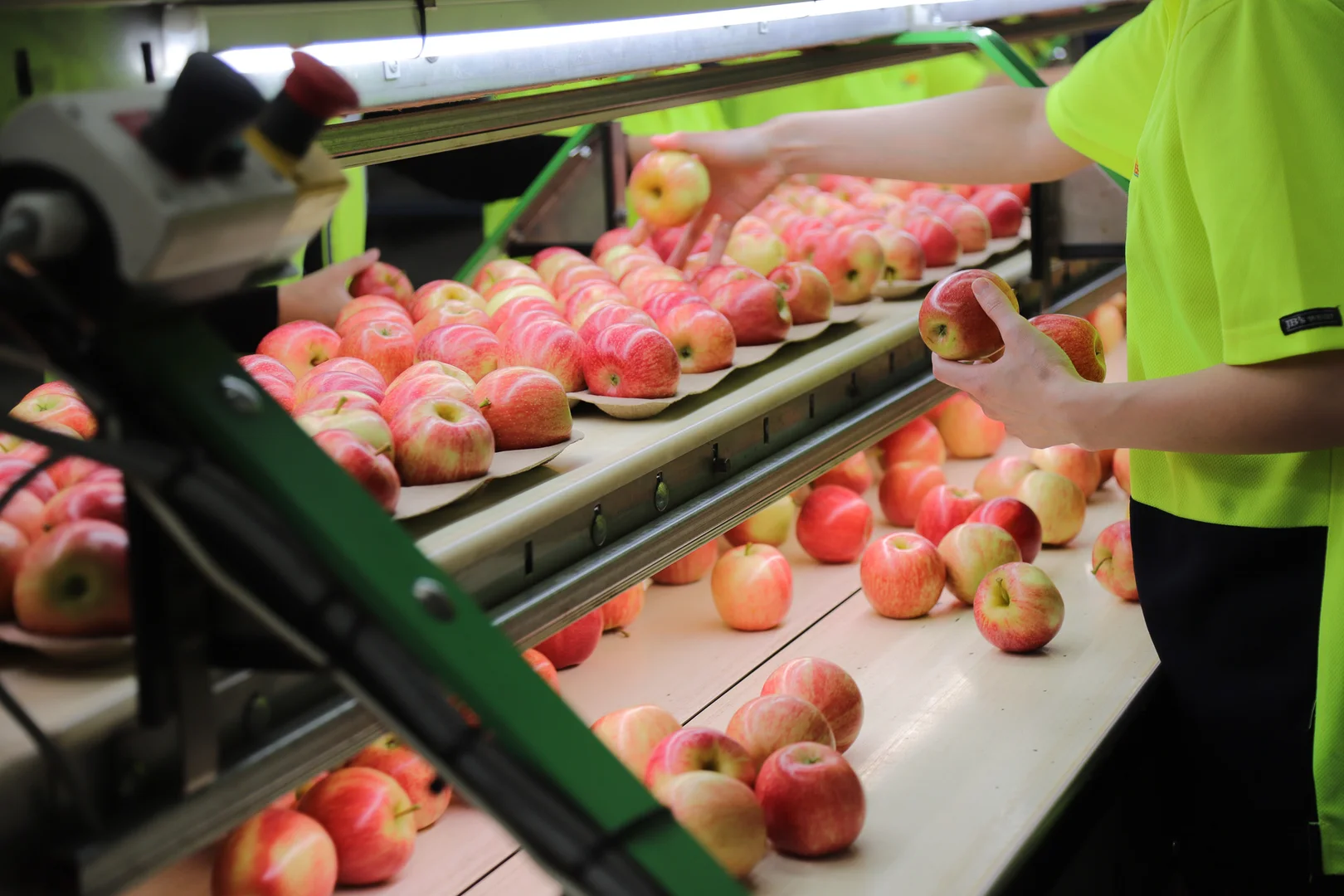 Additional image 20 of Orrvale VIC 3631