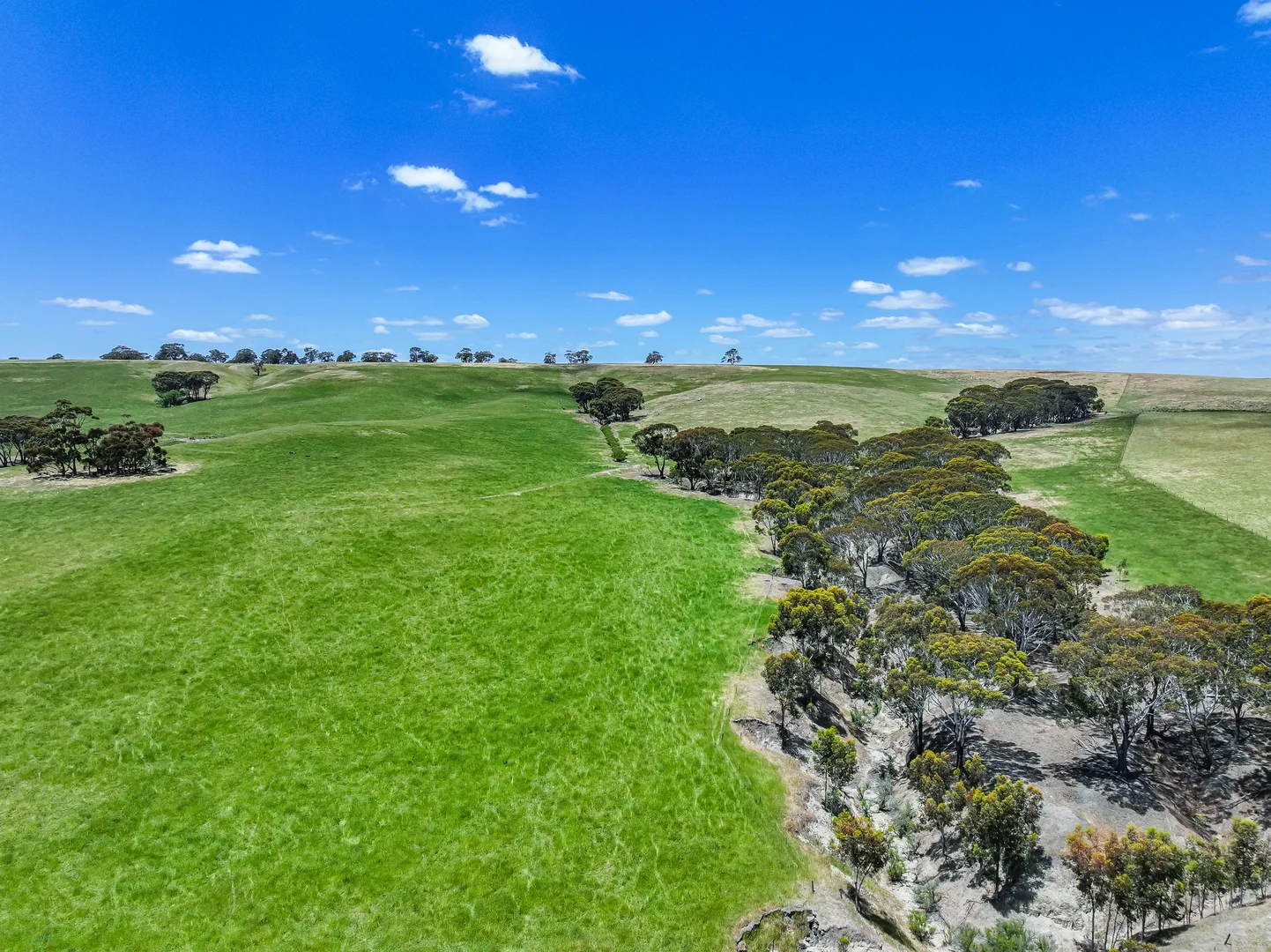 Additional image 14 of 41 Uptons Road, Wando Vale VIC 3312