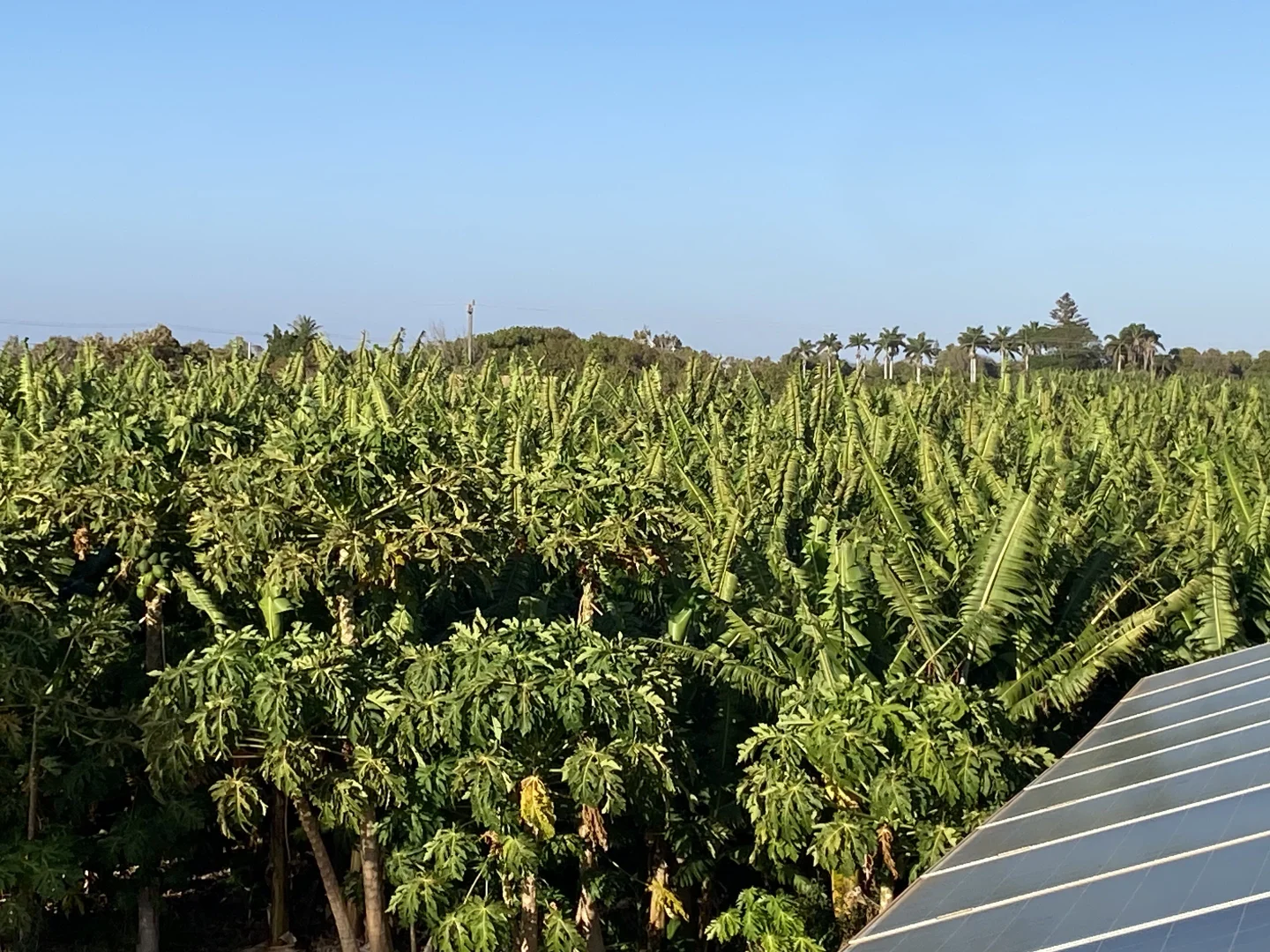 Additional image 45 of 600 South River Road, South Plantations WA 6701