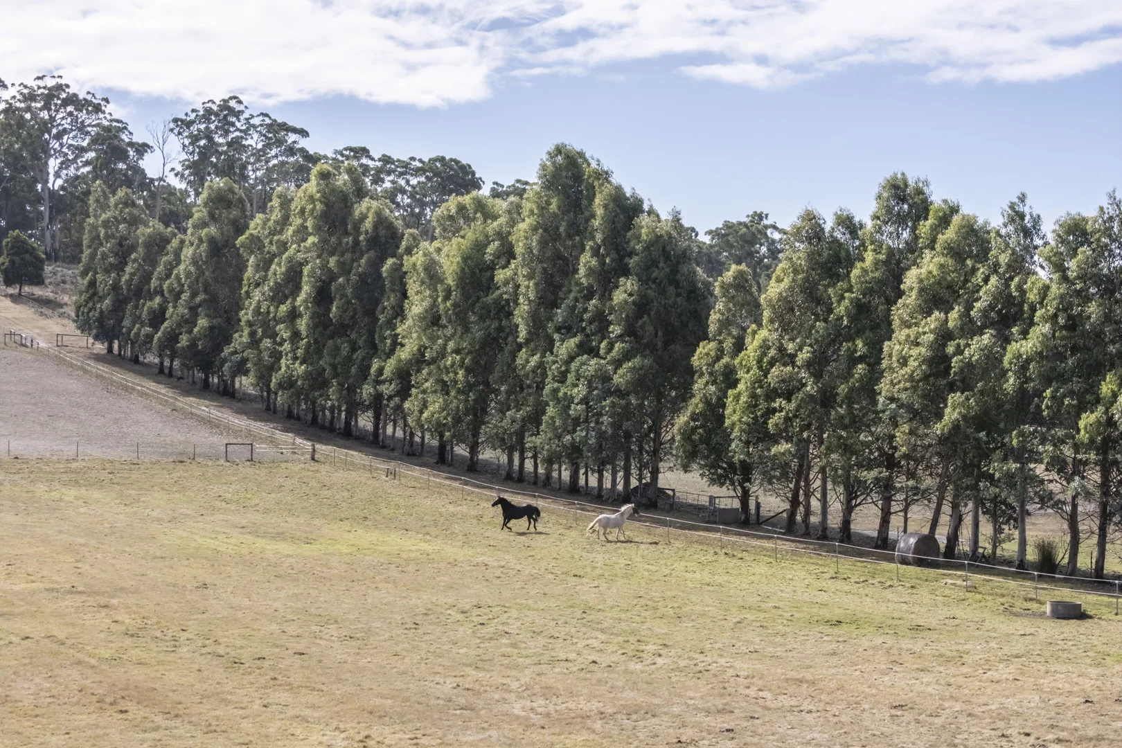 Additional image 24 of 5456 Bridport Road, Pipers River TAS 7252