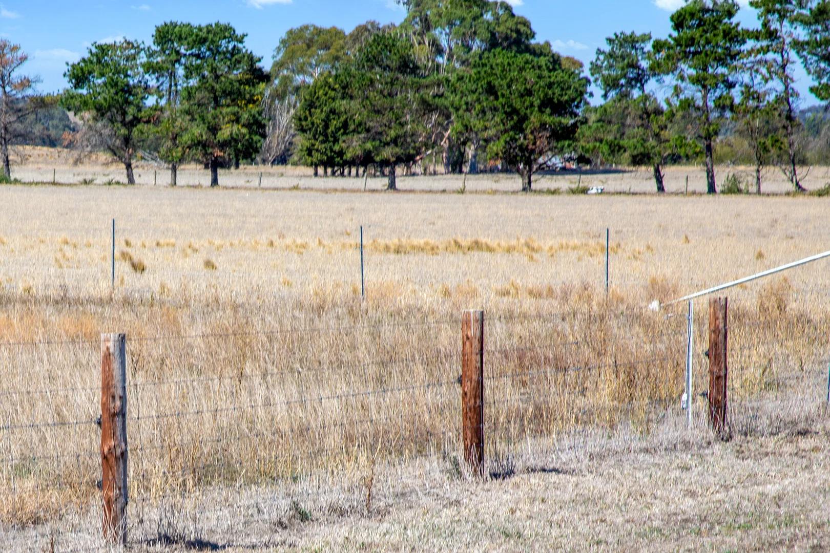 Additional image 9 of Lot 126 Mahers Road, Inverleigh VIC 3321