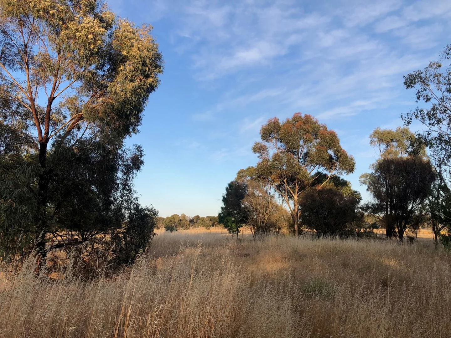 Additional image 7 of 1170 Natimuk-Hamilton Road, Noradjuha VIC 3409