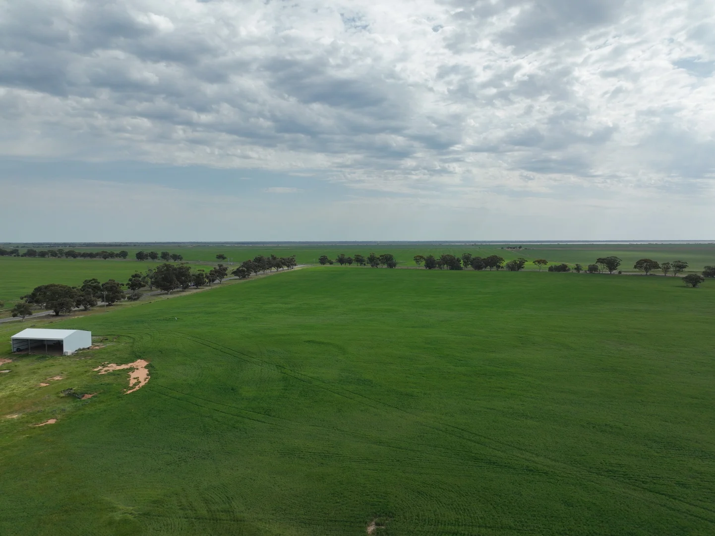 Additional image 8 of 0 Borung Highway, Jeffcott North VIC 3480
