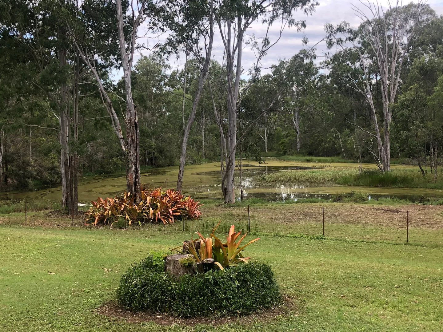 Additional image 9 of 847 Old Gympie Road, Paterson QLD 4570