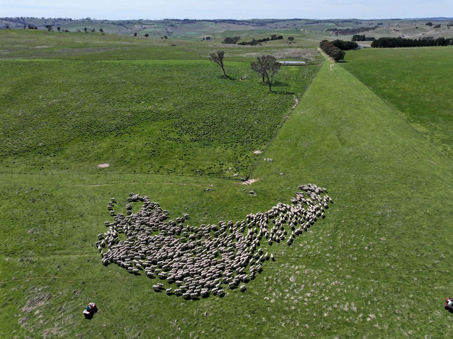 175 Bolong Road, Golspie NSW 2580