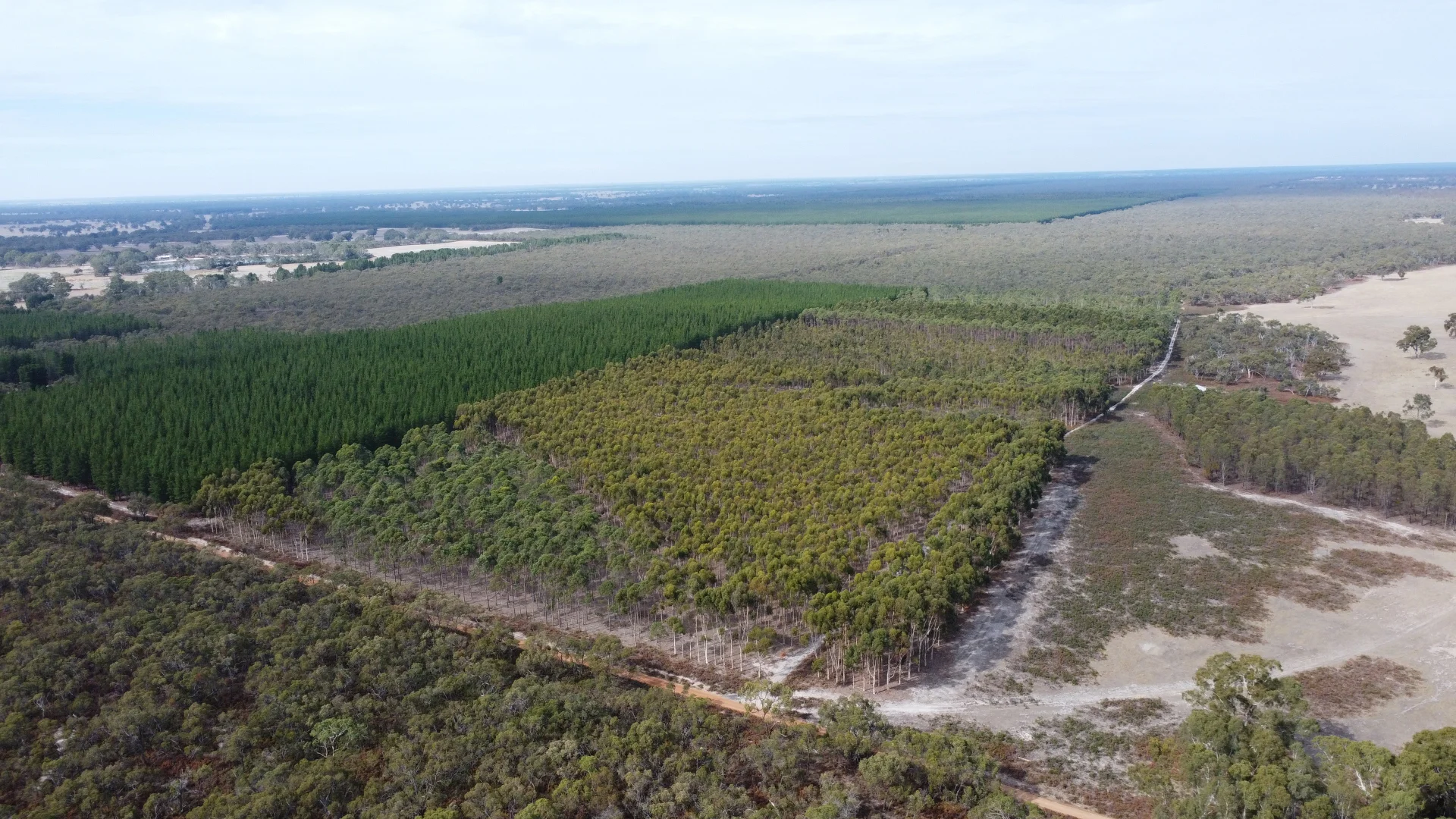 Additional image 2 of Lot 1 Jim Ryans Road, Edenhope VIC 3318