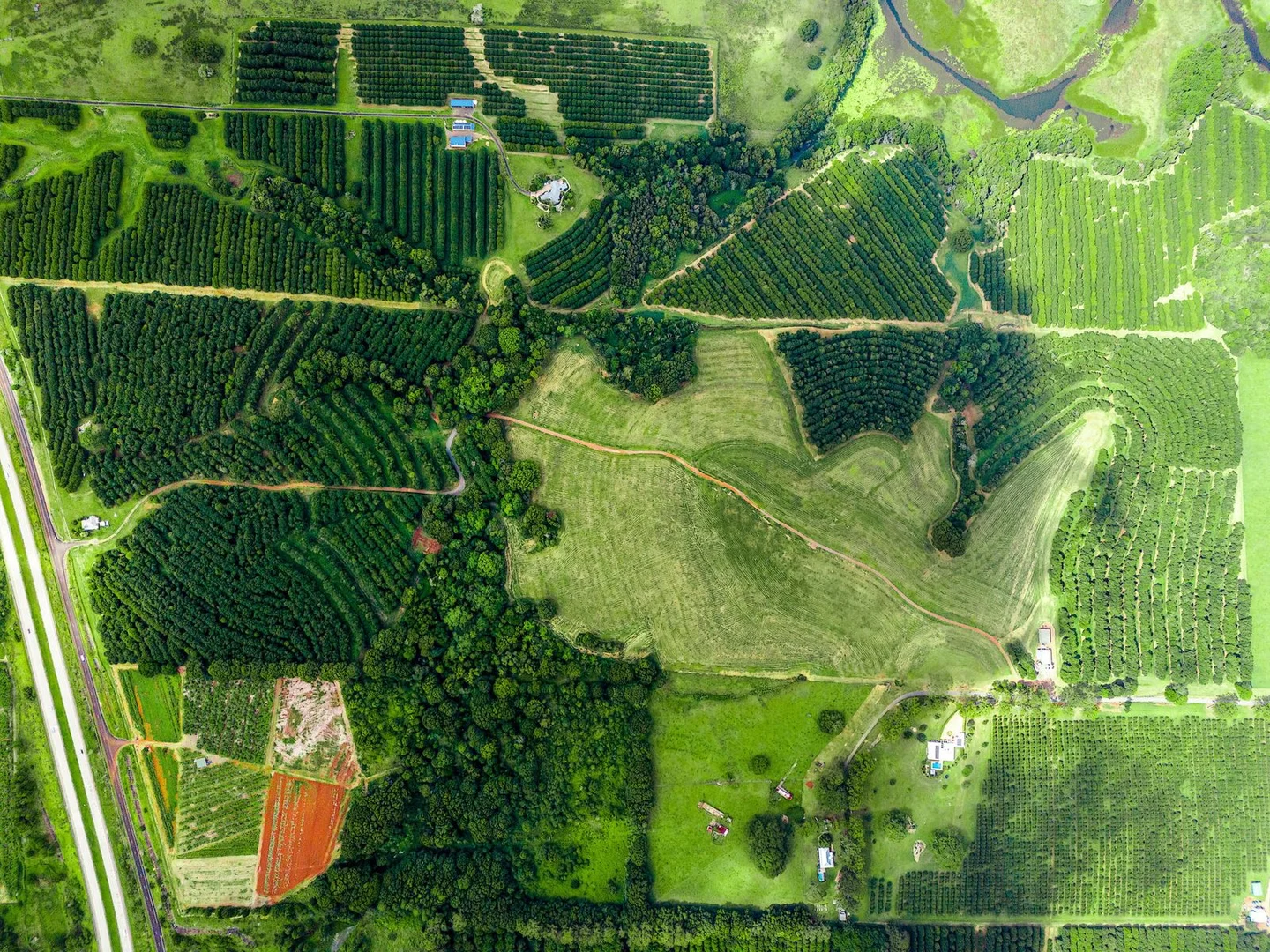 Additional image 19 of 323 Alcorn Road, Knockrow NSW 2479