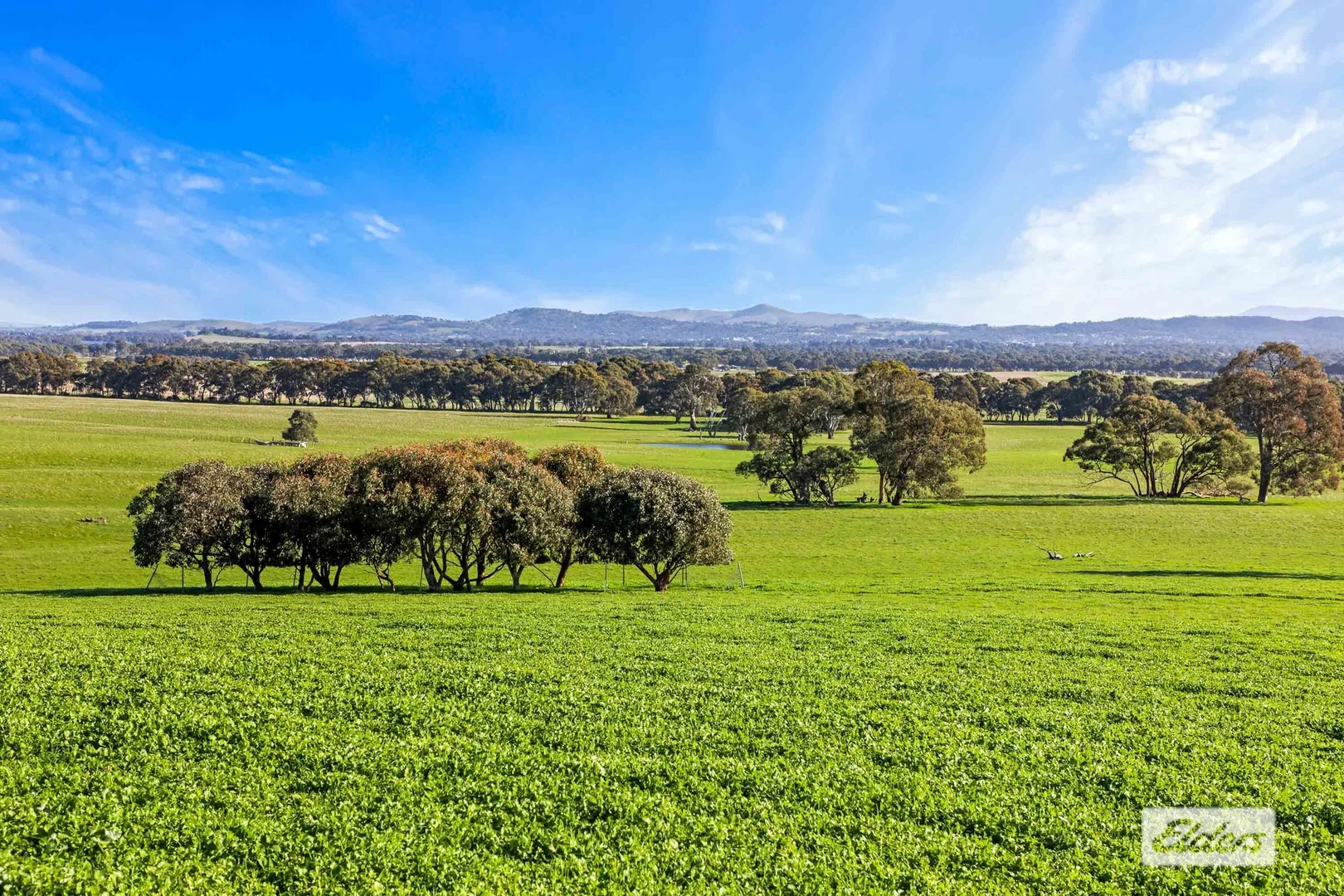 Additional image 16 of Warrayadin Road, Ararat VIC 3377