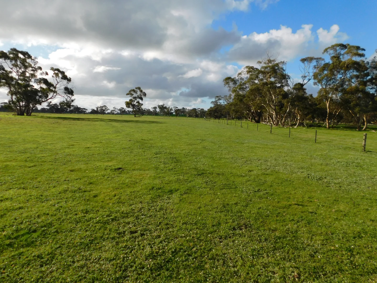 Additional image 14 of 1878 Cannawigara Road, Bordertown SA 5268