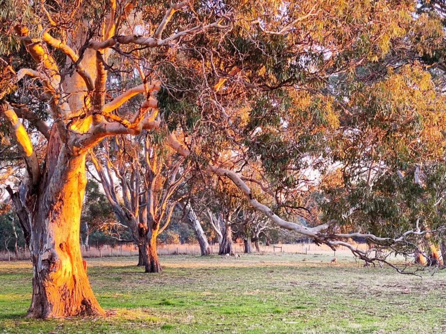 Additional image 6 of 6997 Dartmoor Hamilton Road, Hamilton VIC 3300