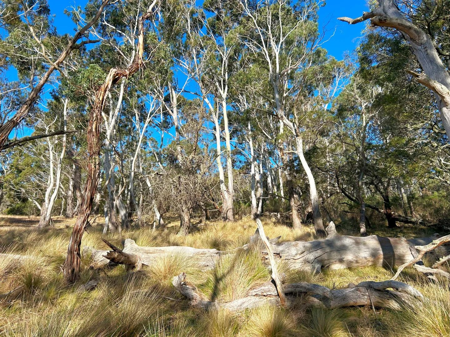 Additional image 18 of 11 & 128 Stoney Ridge Road, Braidwood NSW 2622