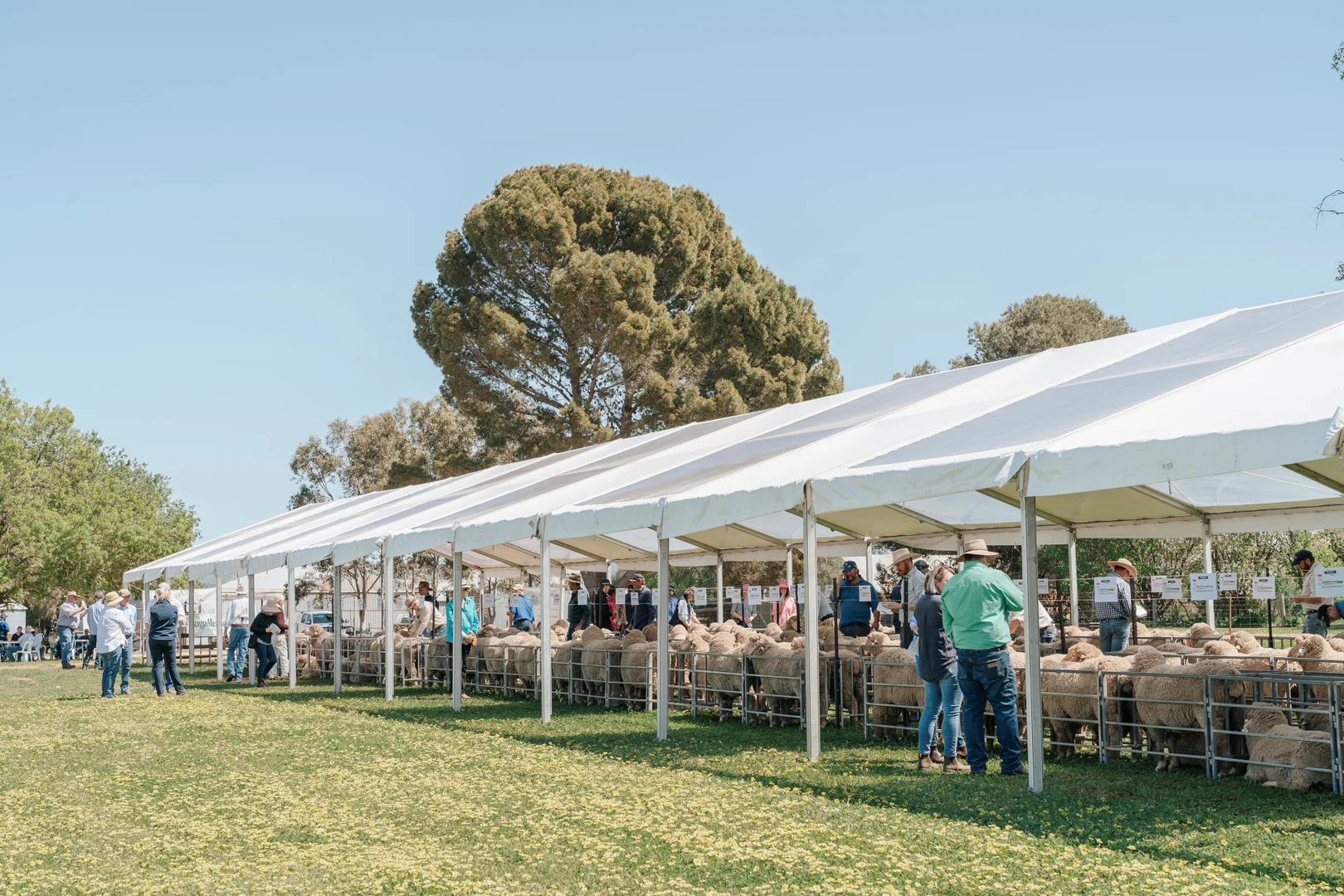 Additional image 18 of 1679 Stockinbingal Road, Cootamundra NSW 2590