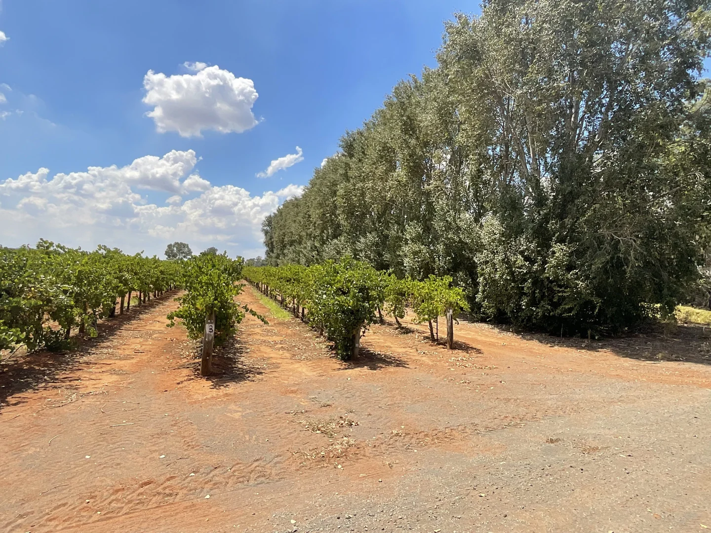 Additional image 9 of 171 Moseley Road, Bilbul NSW 2680