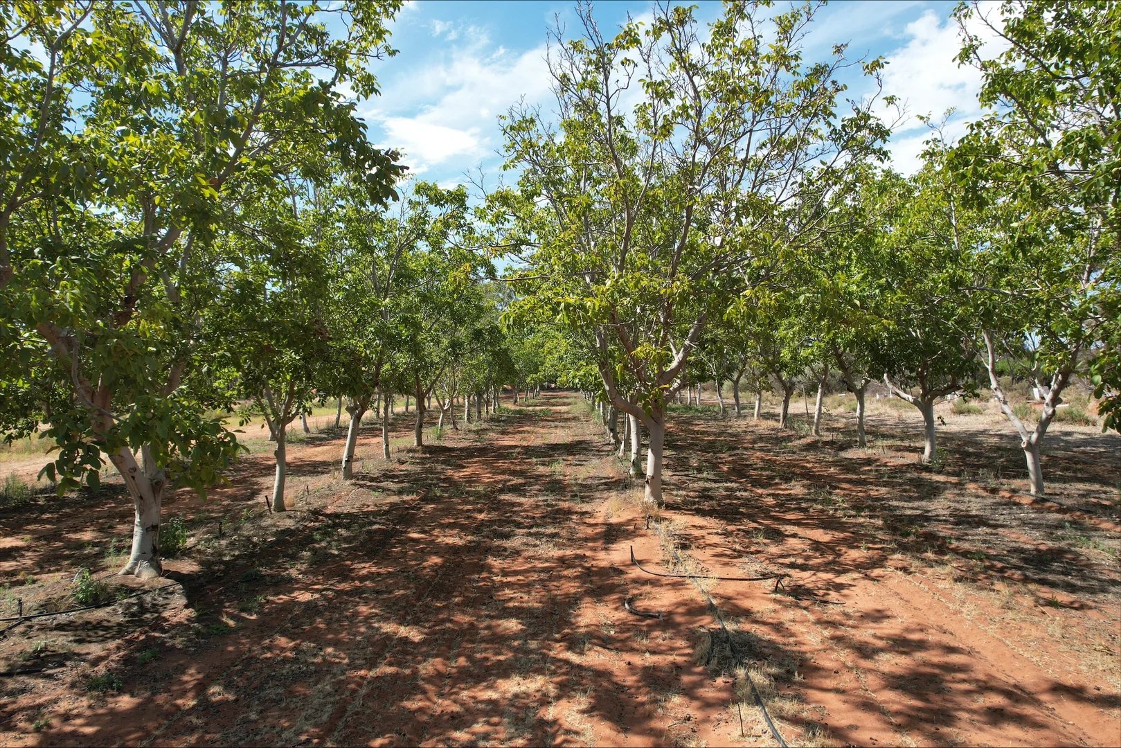 Additional image 34 of 491 Dalziel Road, Winkie SA 5343