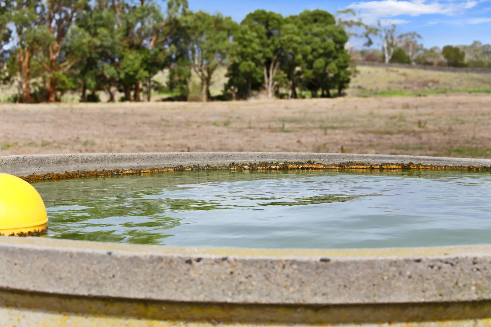 Additional image 39 of 401 Purrumbete Estate Road, Koallah VIC 3260