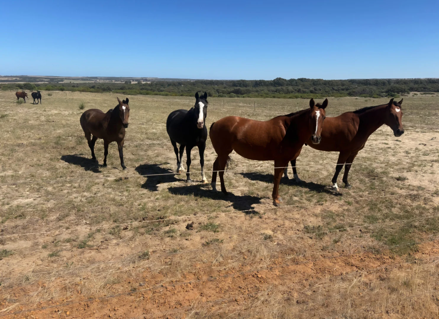 Additional image 23 of 1169 Allanooka Springs Road, Mount Hill WA 6528