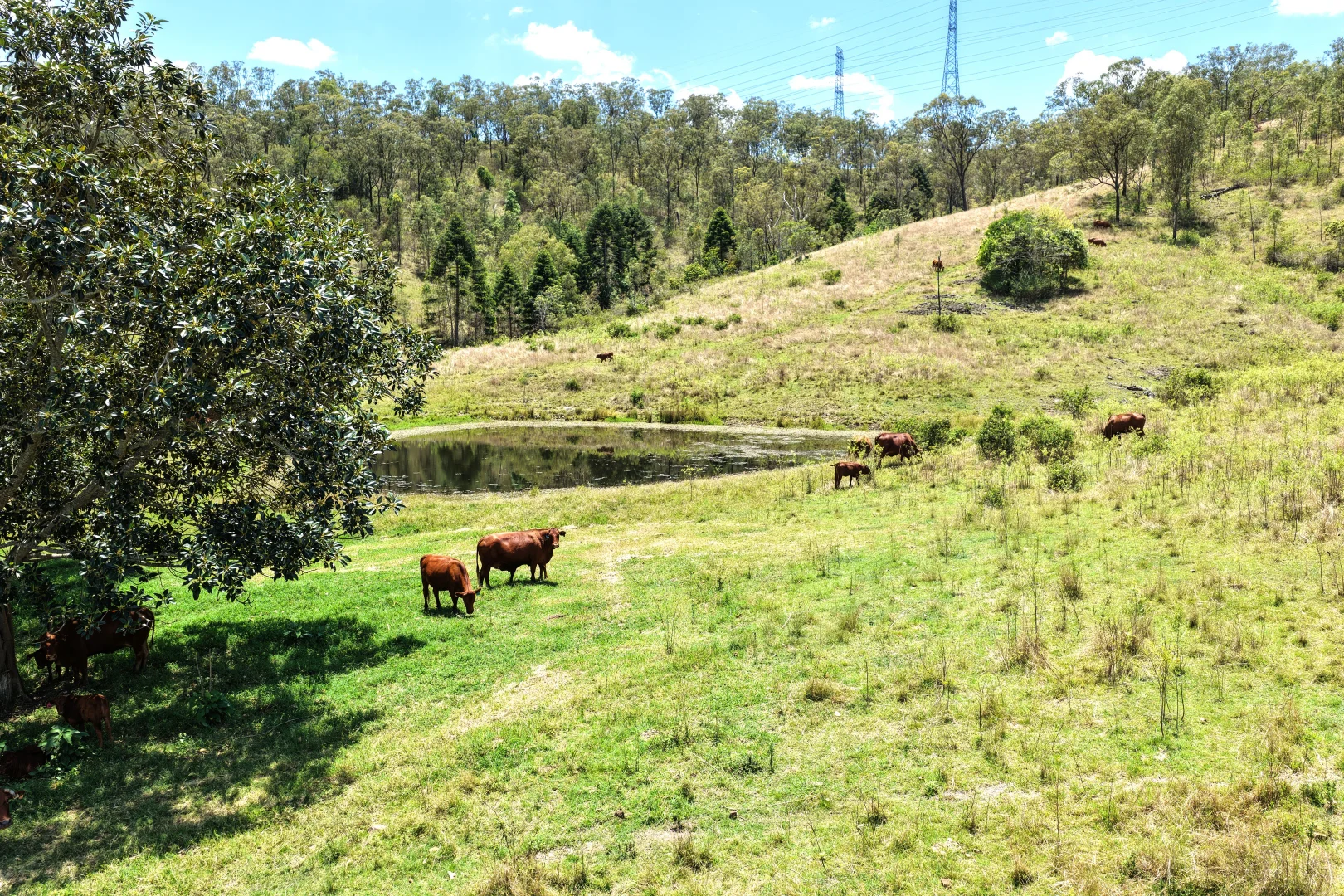 Additional image 31 of 516 Scrub Creek Road, Scrub Creek QLD 4313