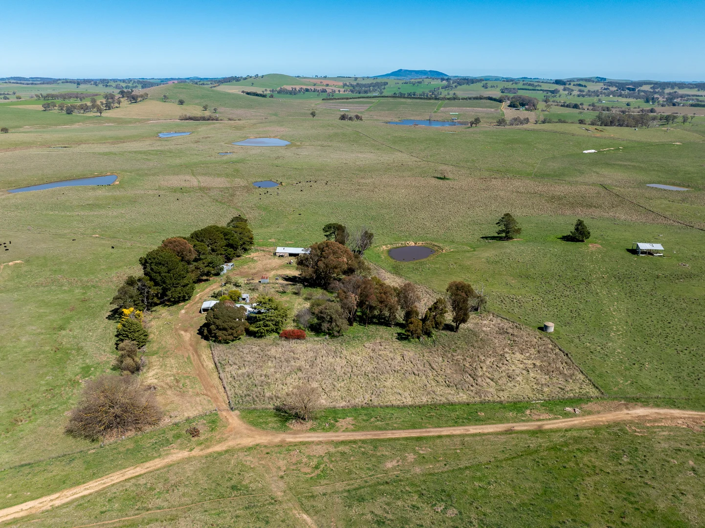 Additional image 16 of 242 Bundaleer Road, Newbridge NSW 2795