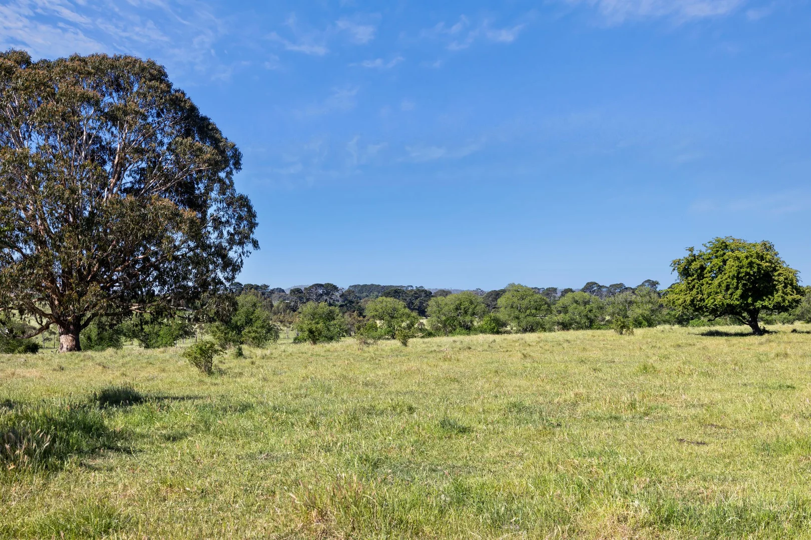 Additional image 6 of Burton Avenue, Kyneton VIC 3444
