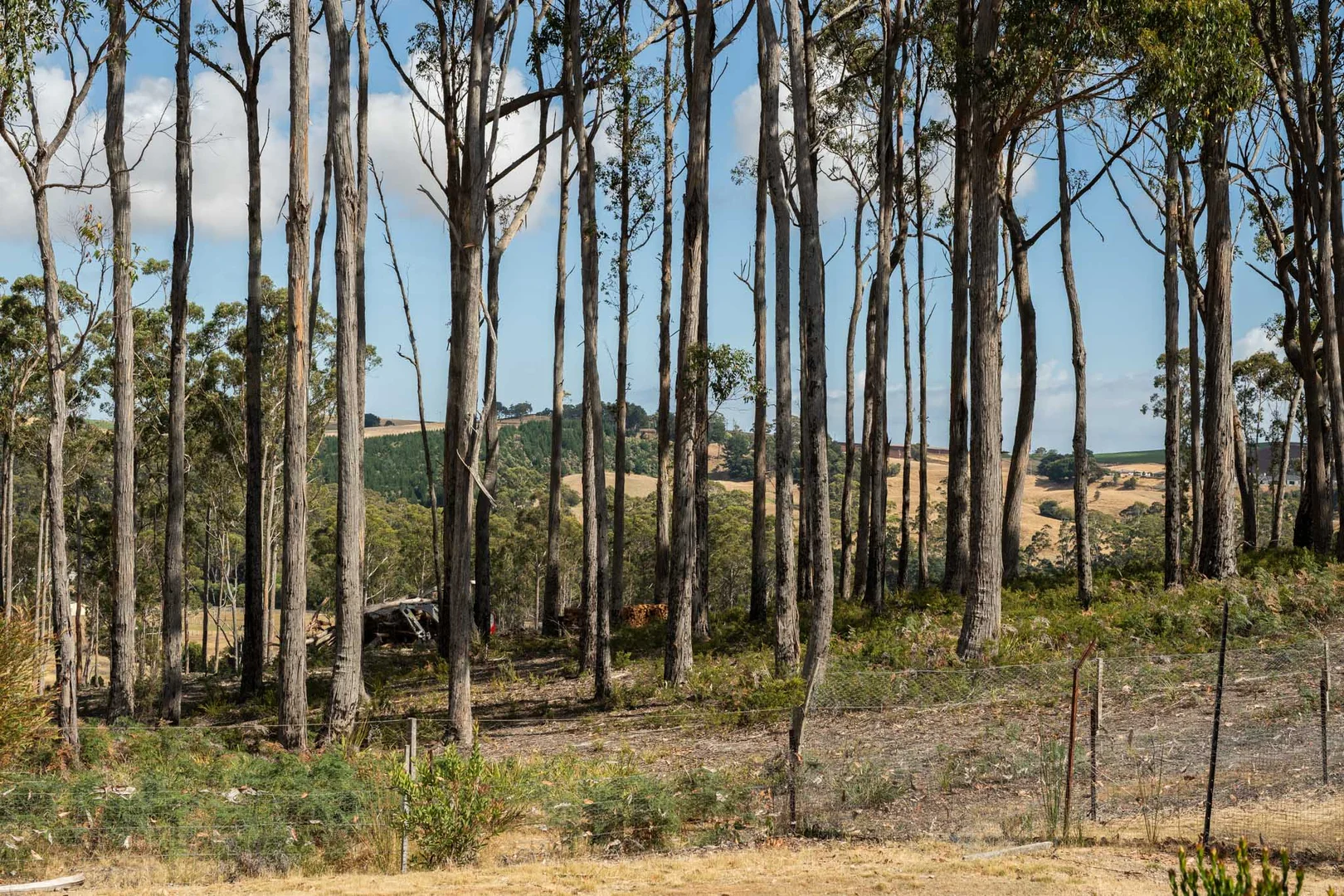 Additional image 25 of 13 Mangana Drive, Tugrah TAS 7310