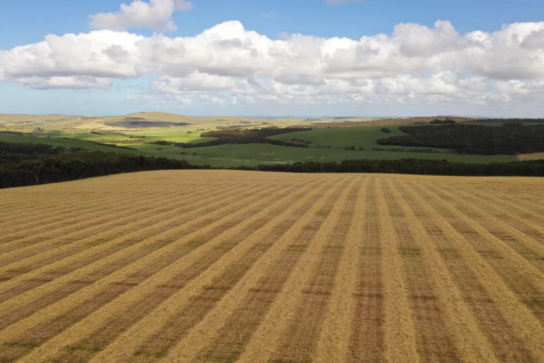 Additional image 10 of 251 Reservoir Drive, Whites Flat SA 5607