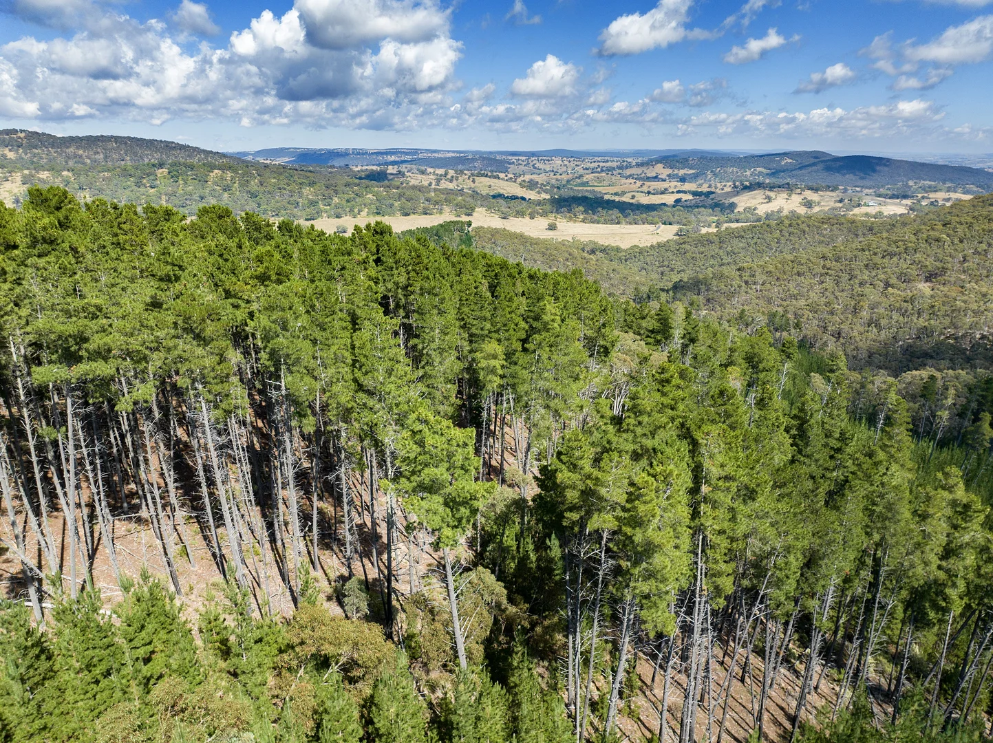 Additional image 5 of 771 Greywacke Road, Twenty Forests NSW 2795