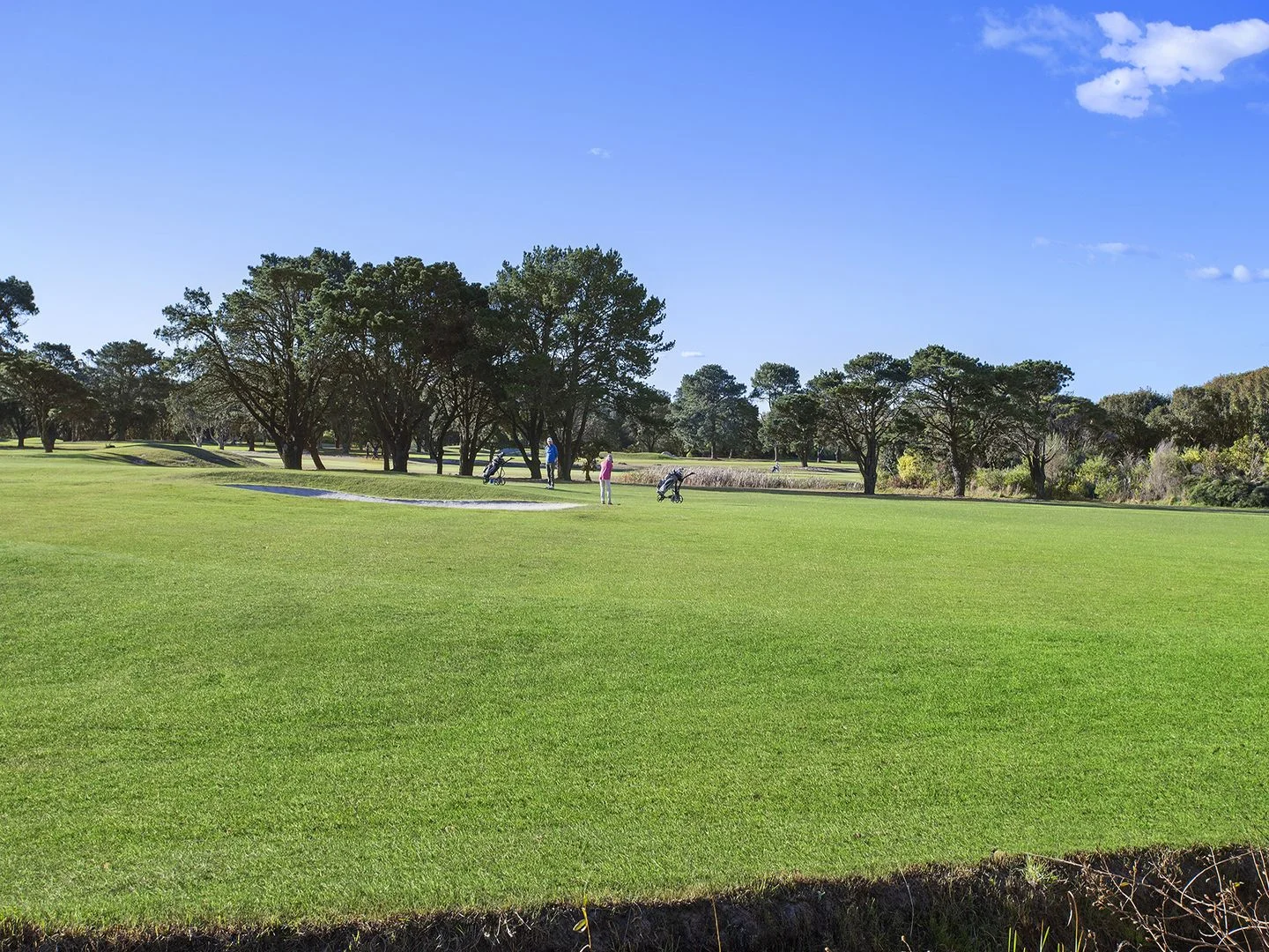 Additional image 13 of 31 Myrtle Street, Pagewood NSW 2035