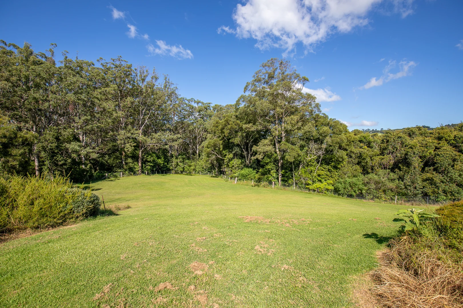 Additional image 12 of 149 Johnsens Road, Dorrigo NSW 2453