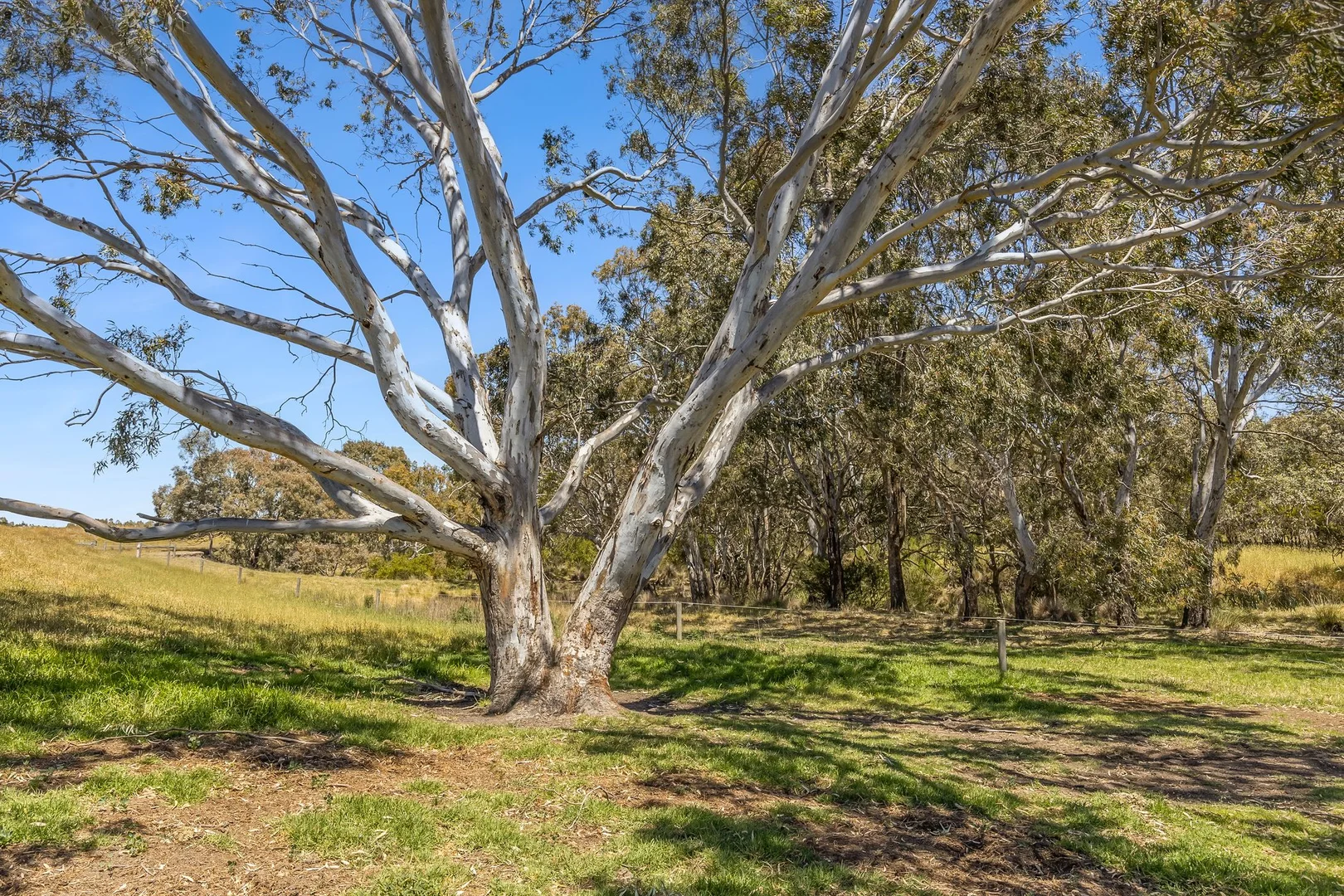 Additional image 27 of 1145 Inverleigh-Winchelsea Road, Inverleigh VIC 3321
