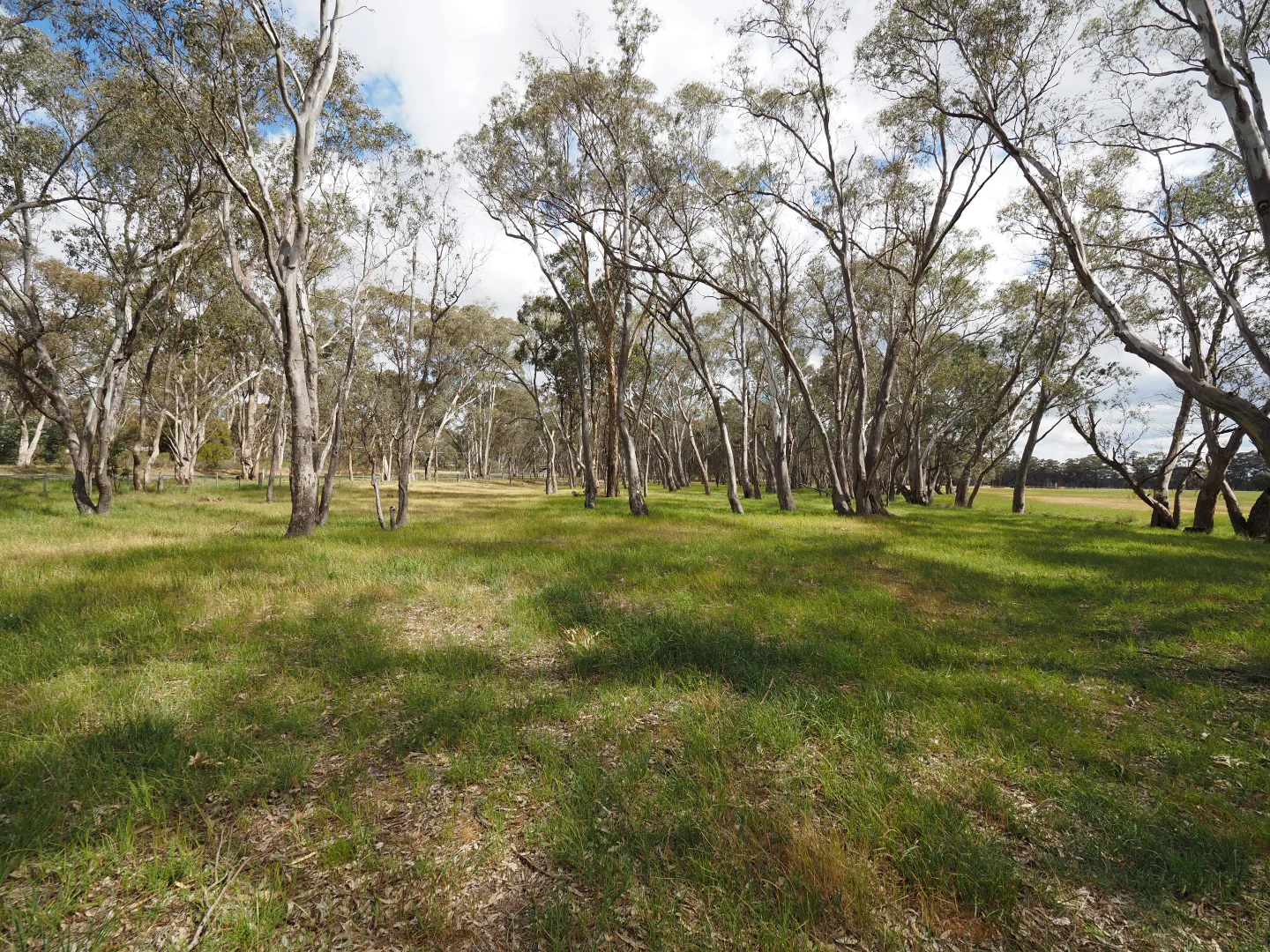 Additional image 10 of 10 Blacksmith Gully Road, Daisy Hill VIC 3465