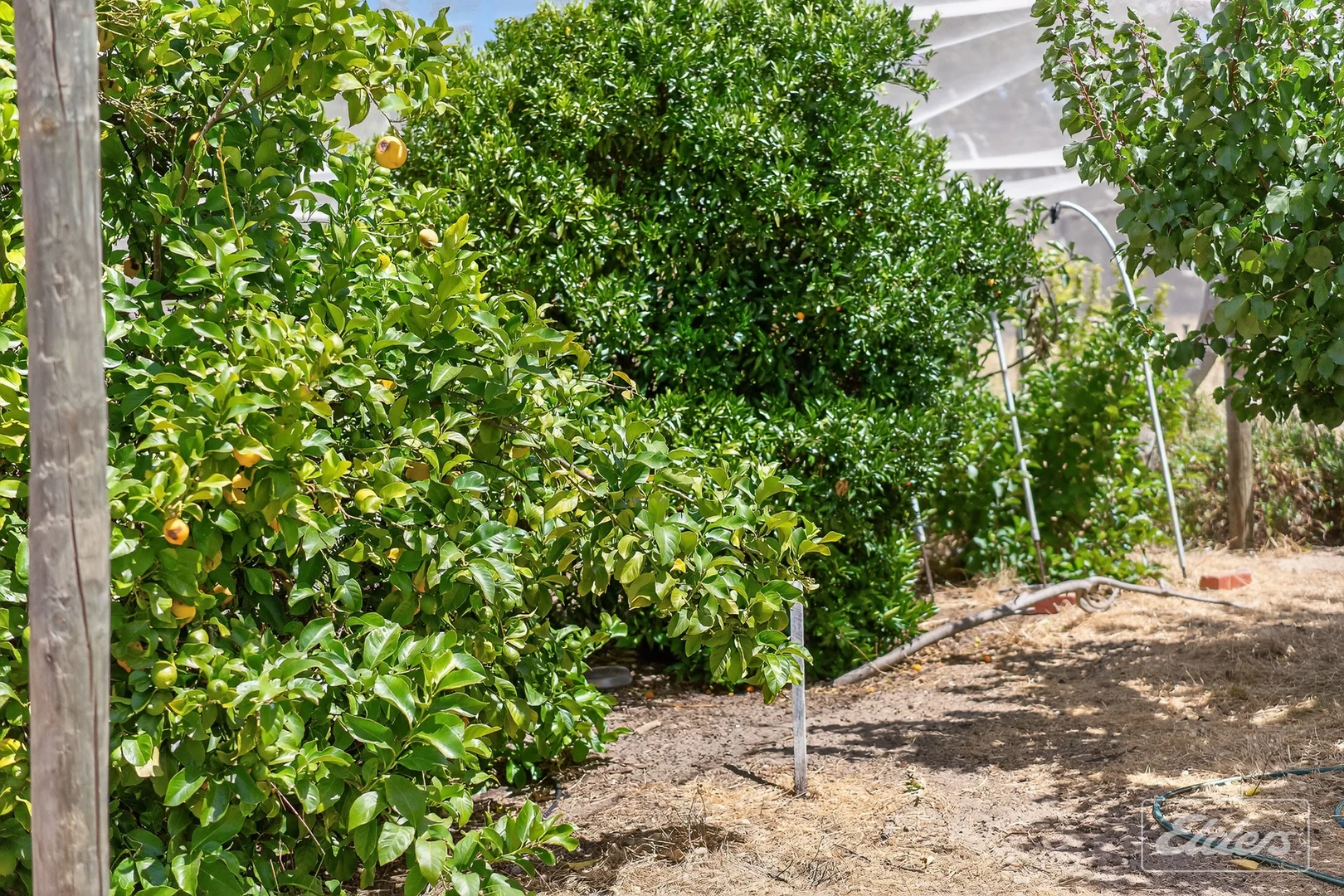 Additional image 76 of 839 Signal Flat Road, Finniss SA 5255