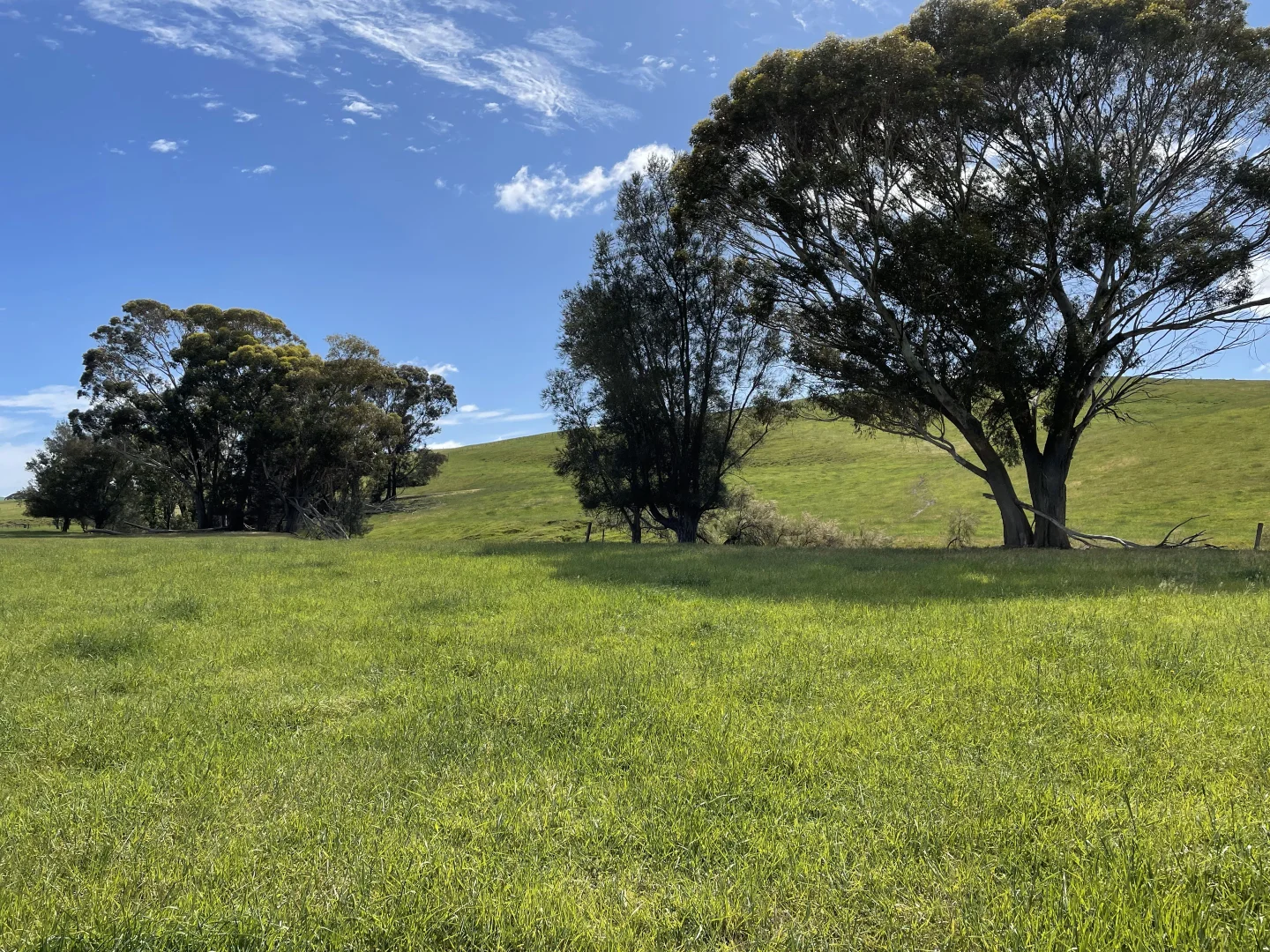 Additional image 6 of Cnr Glenelg Highway and Denhills Road, Coleraine VIC 3315