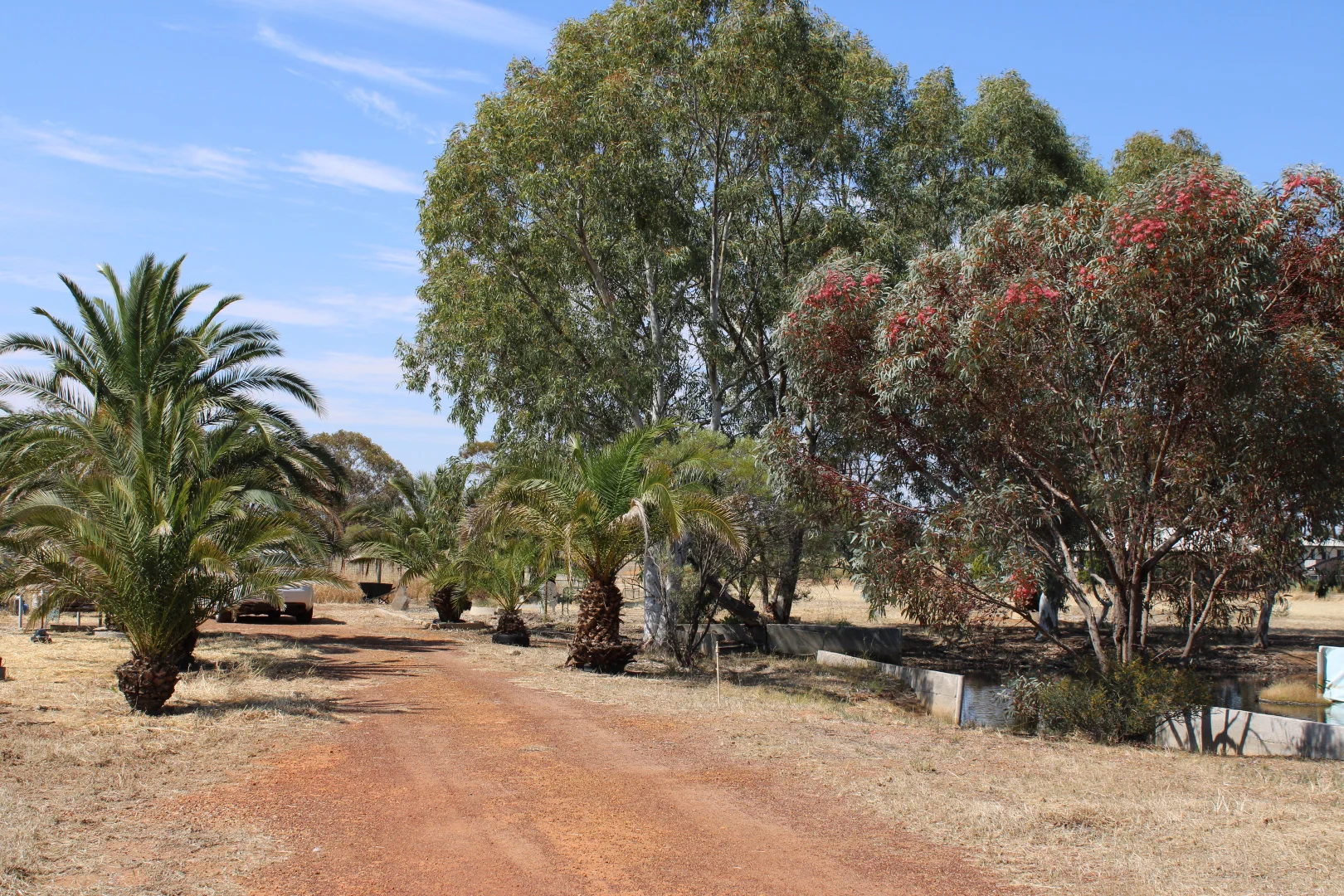 Additional image 3 of 25 Farrall St, Bruce Rock WA 6418