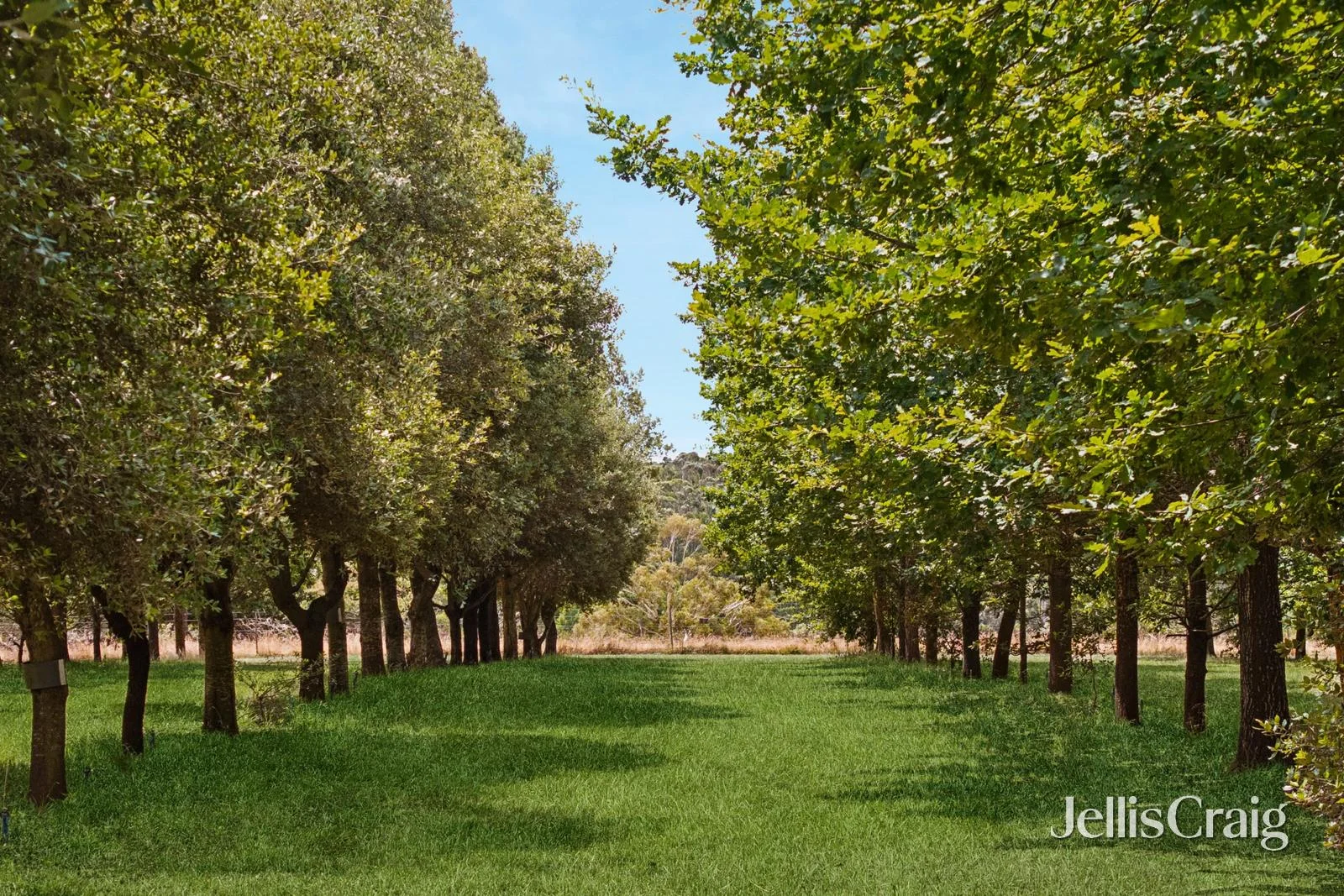 Additional image 13 of Black Cat Truffles Howards Road, Wattle Flat VIC 3352
