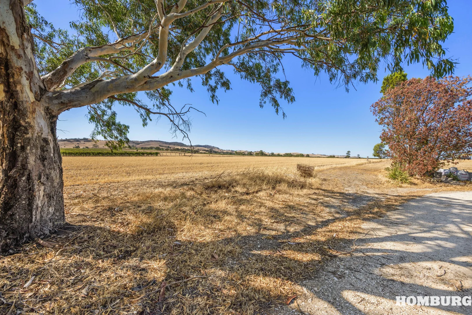 Additional image 28 of 182 Bethany Road, Bethany SA 5352