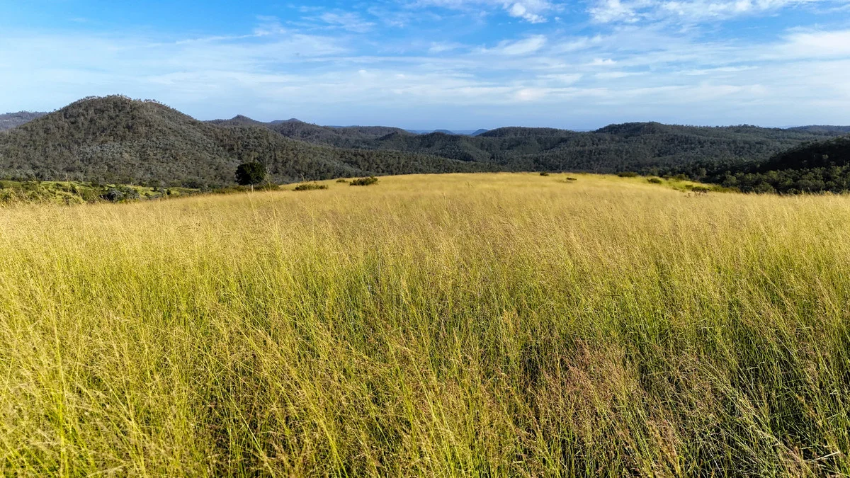 Additional image 7 of 32 Armstrong Road, West Haldon QLD 4359