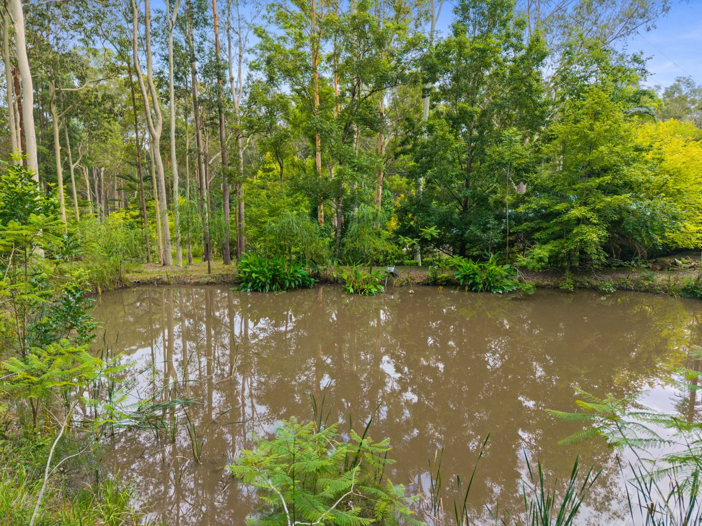 Additional image 21 of 6 Buangi Road, Durren Durren NSW 2259
