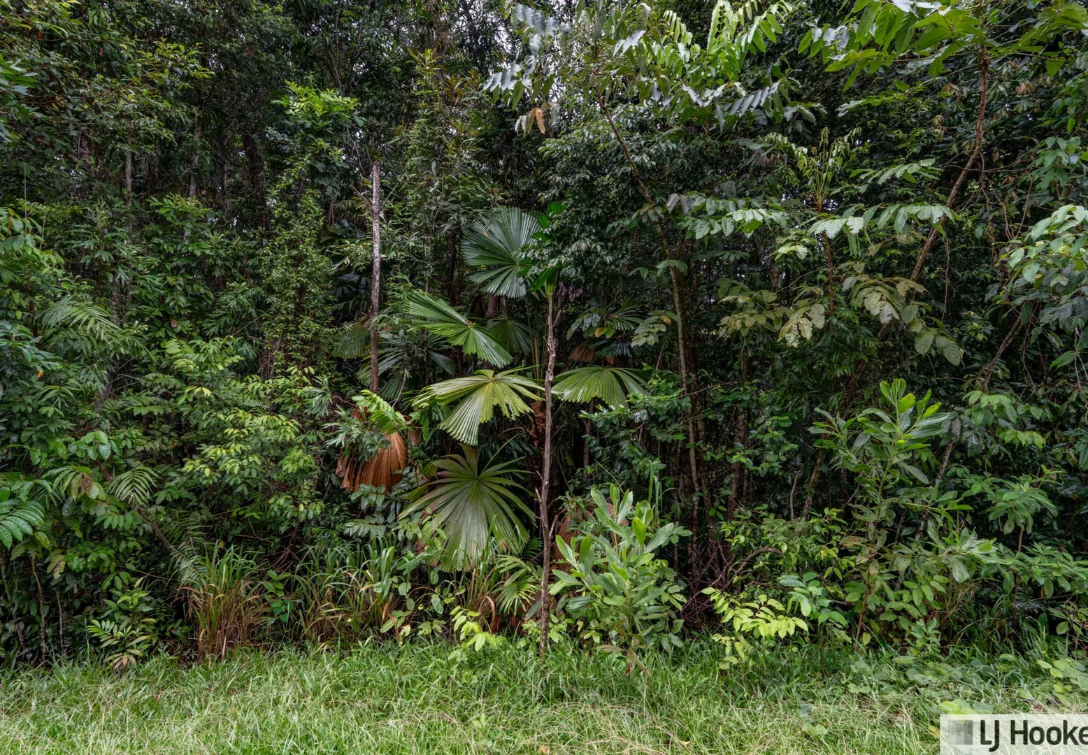 Additional image 14 of 37 Waterfall Place, Jubilee Heights QLD 4860