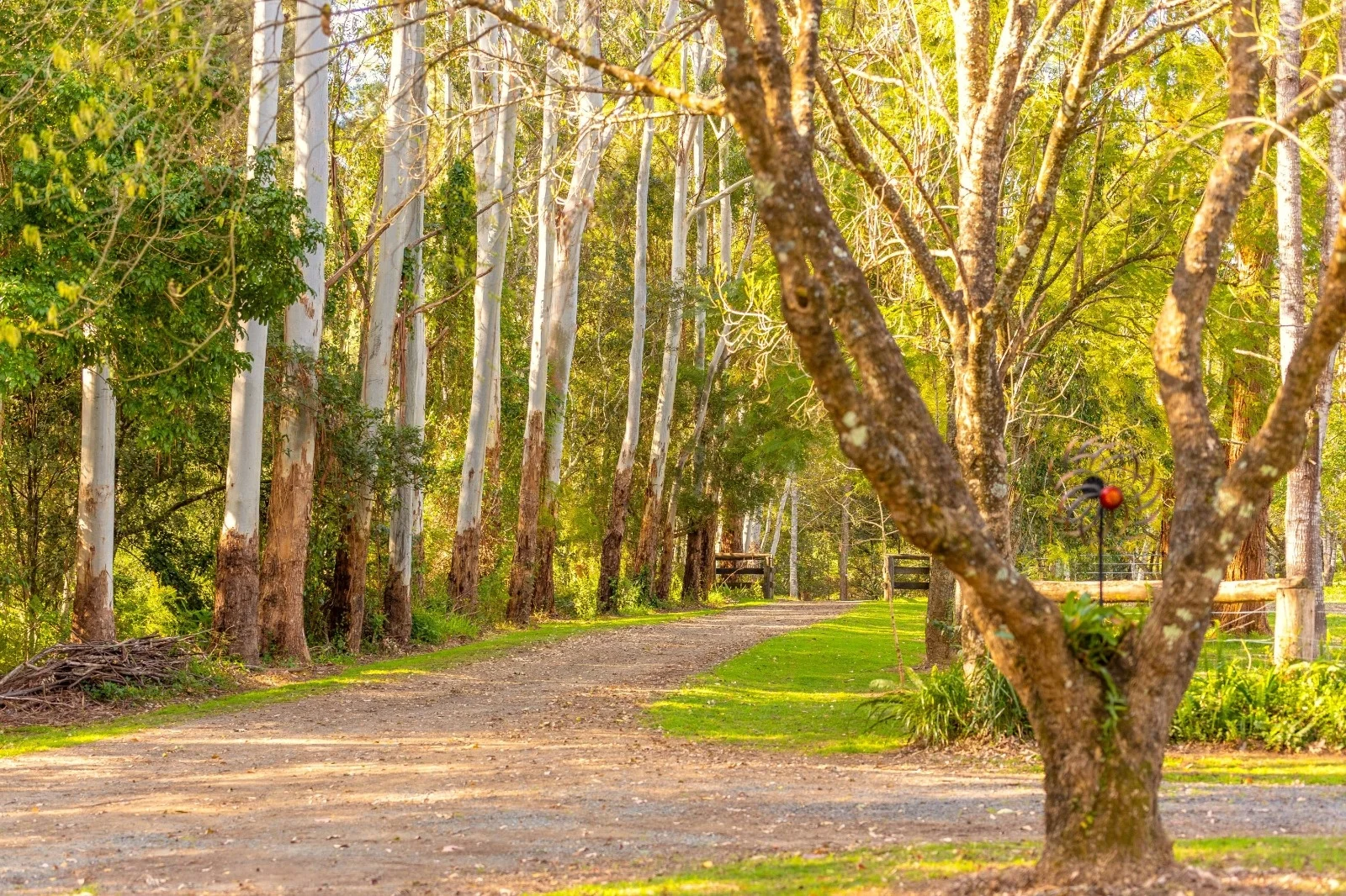 Additional image 6 of 84 Kings Creek Road, Krambach NSW 2429