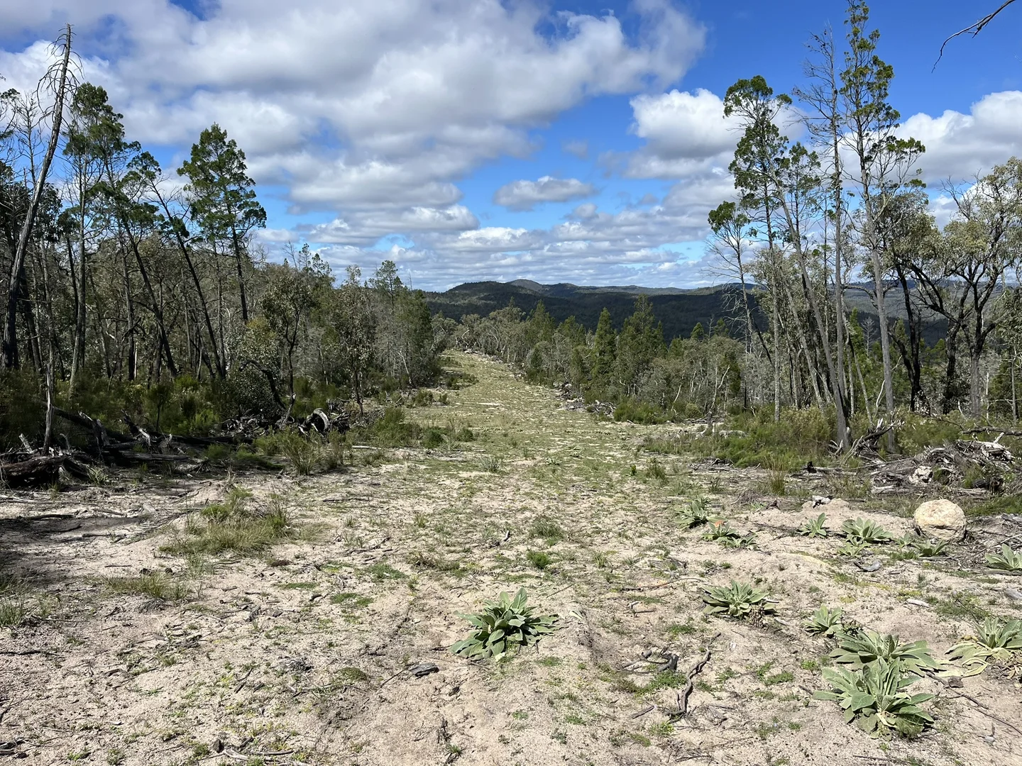Additional image 2 of Bald Rock Bendemeer Road, Kingstown NSW 2358