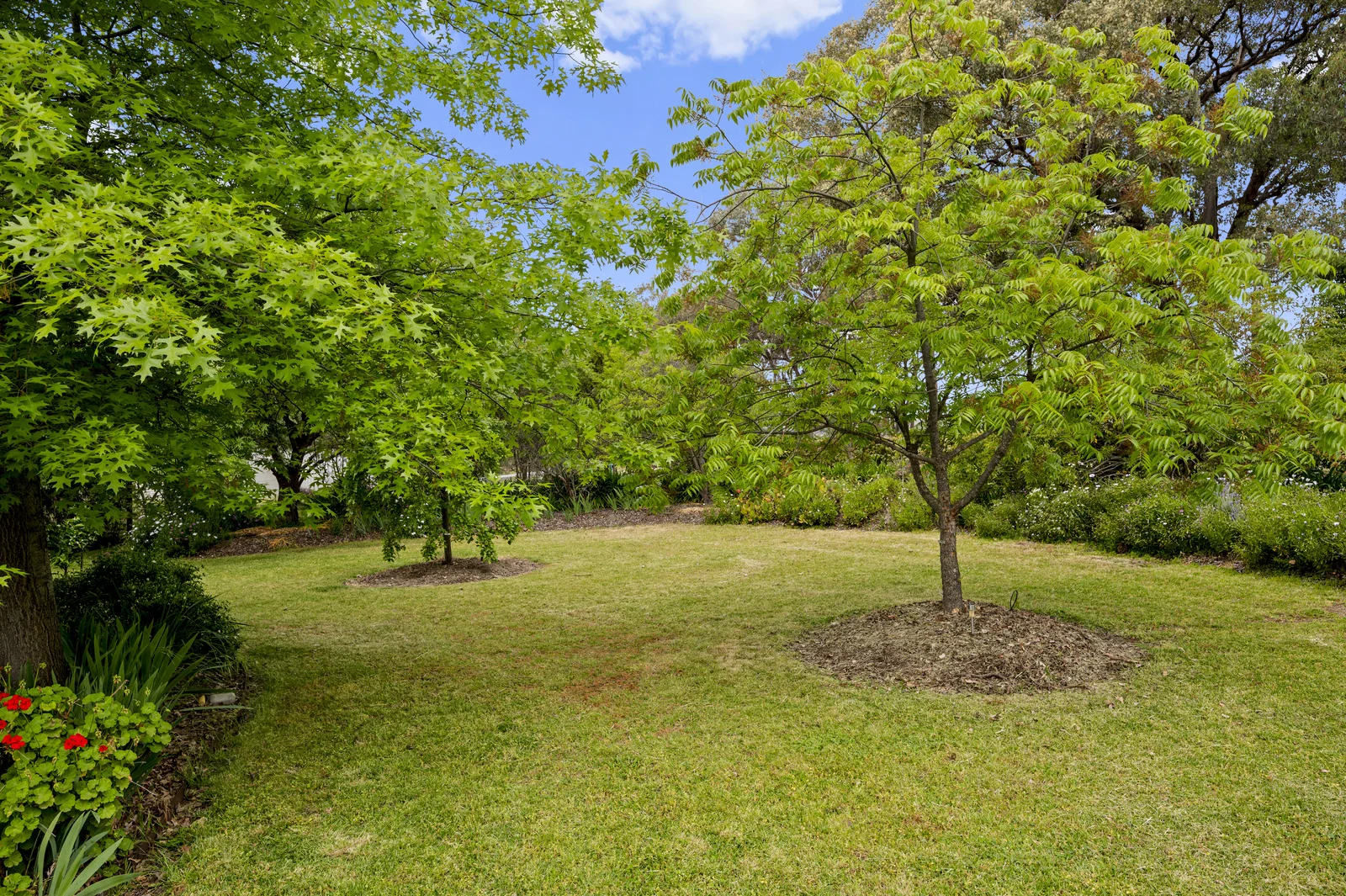 Additional image 27 of 228 Gandini Lane, Lima East VIC 3673