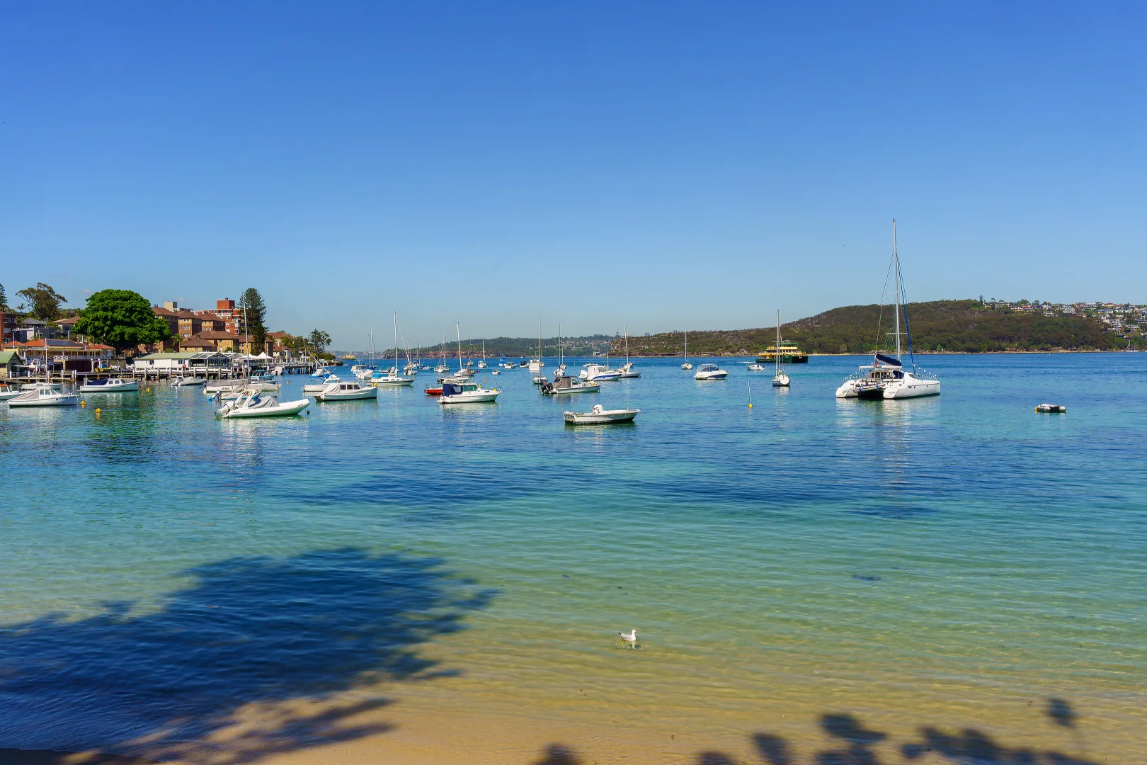 Additional image 7 of 145 North Steyne, Manly NSW 2095