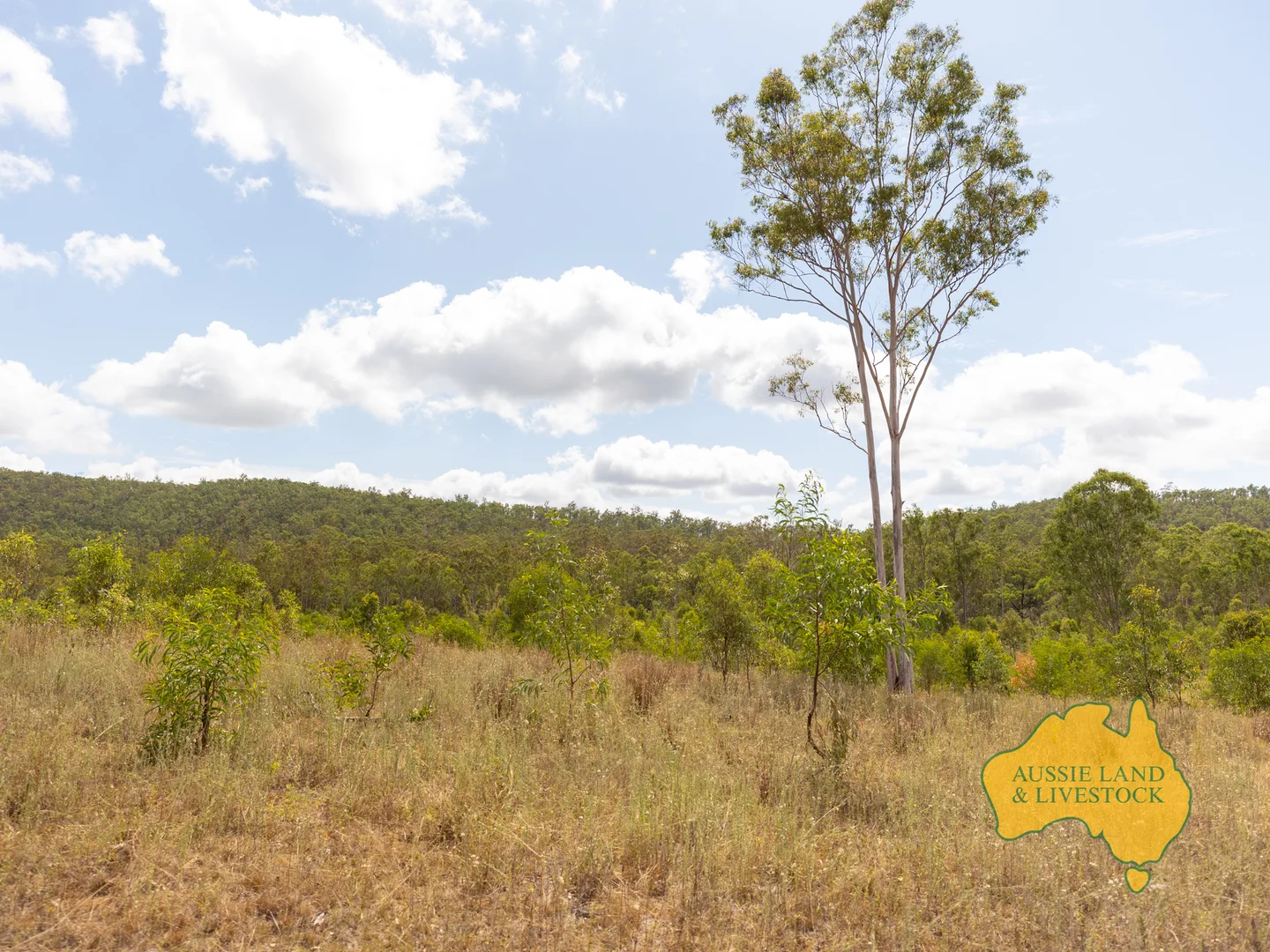 Additional image 30 of 43 & 50, . Kalliwa Road, Mingo QLD 4625
